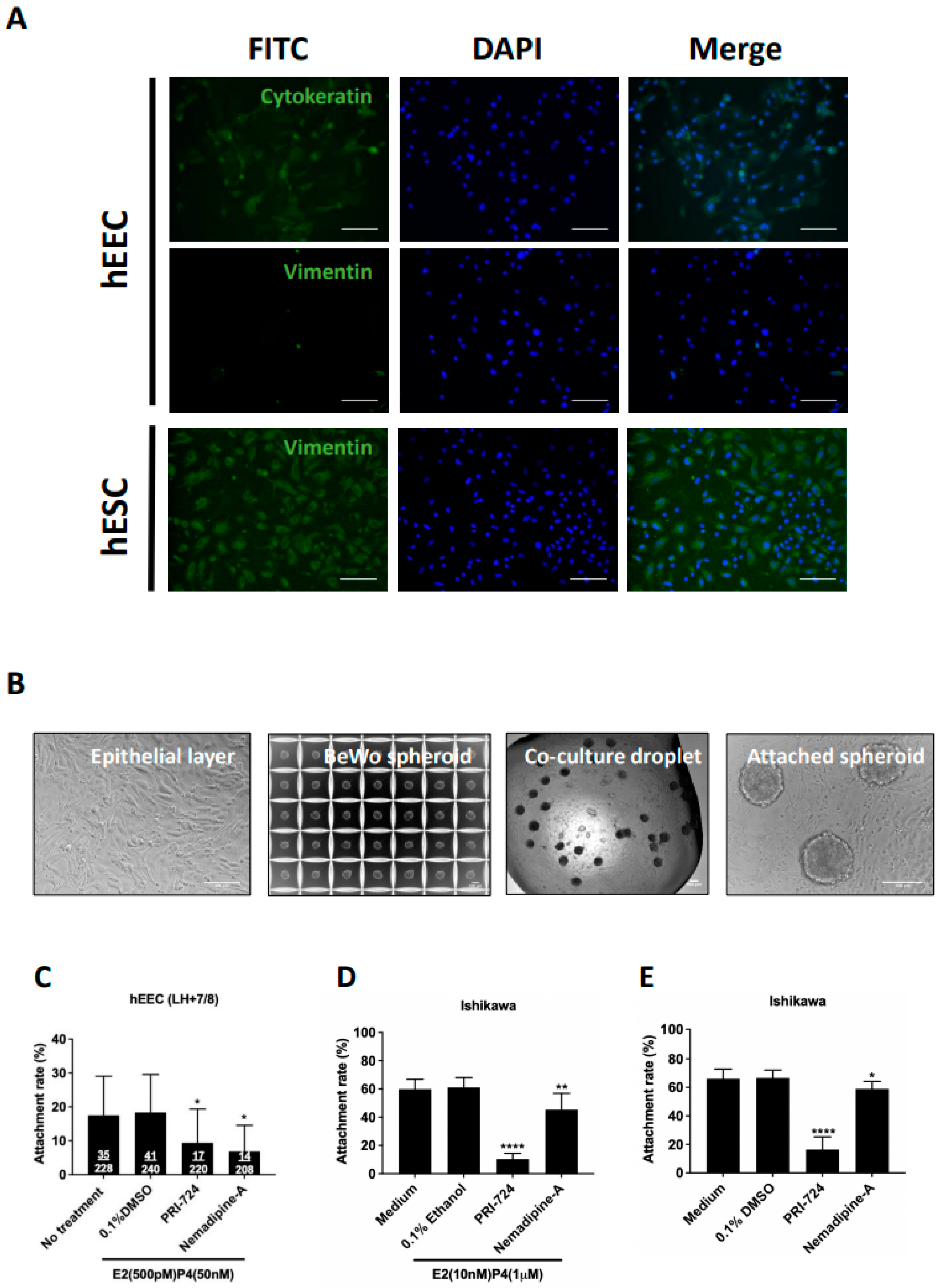 Ijms 23 05073 g003 550