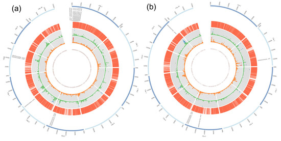 Dissection of the Genetic Basis of Yield Traits in Line per