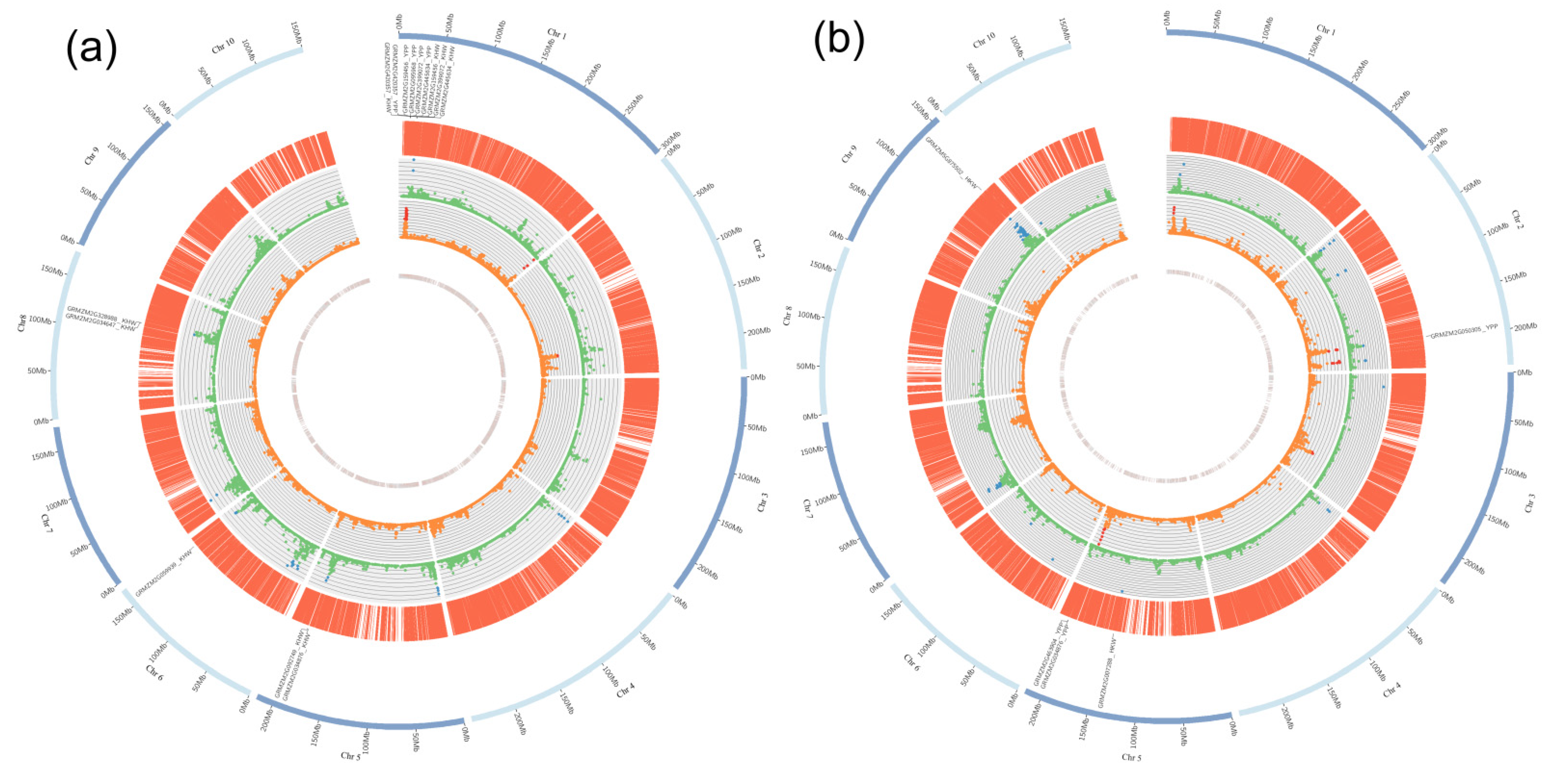 Ijms 23 05074 g006 550