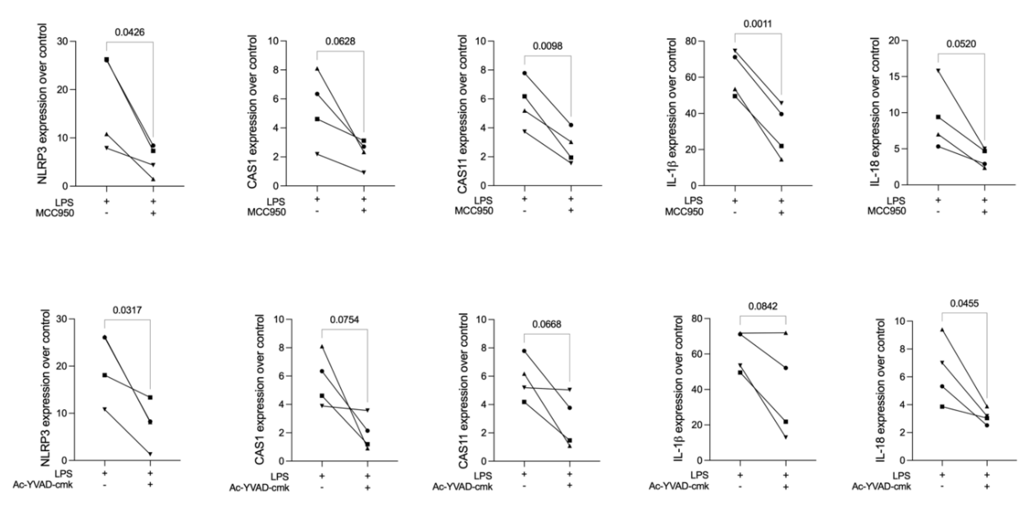 Ijms 23 05078 g001 Ijms 23 05078 g001