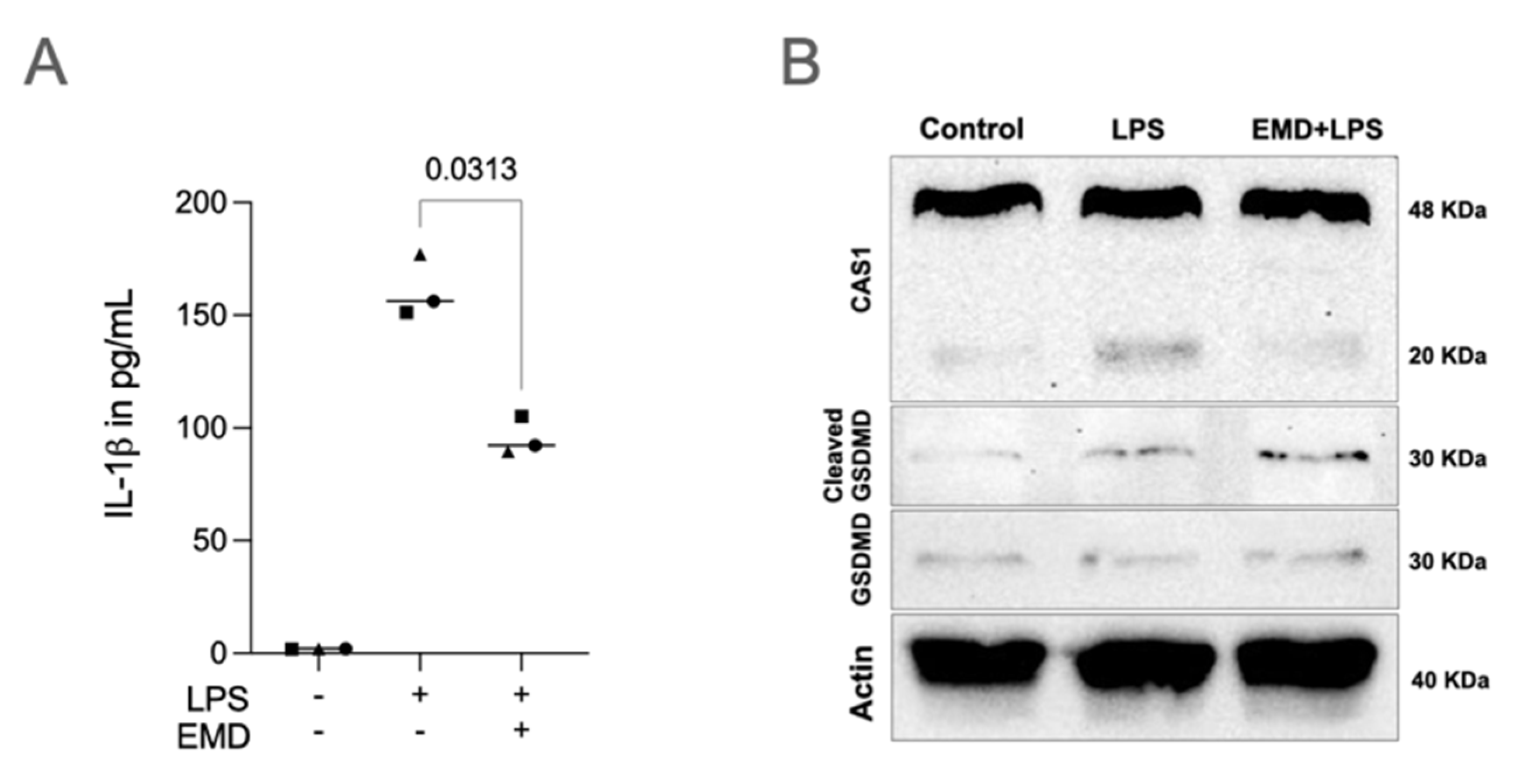 Ijms 23 05078 g004 Ijms 23 05078 g004