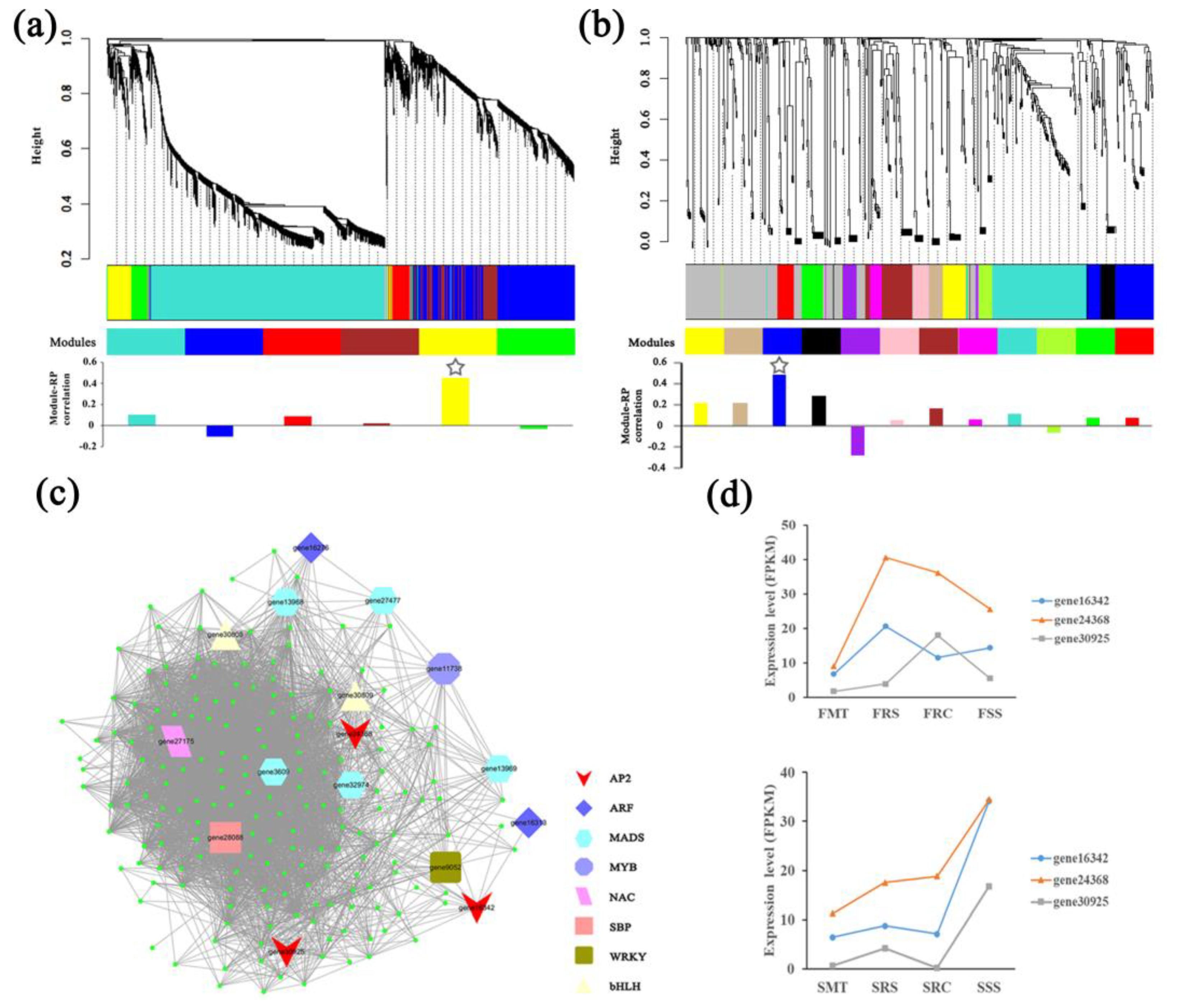 Ijms 23 05079 g003 Ijms 23 05079 g003