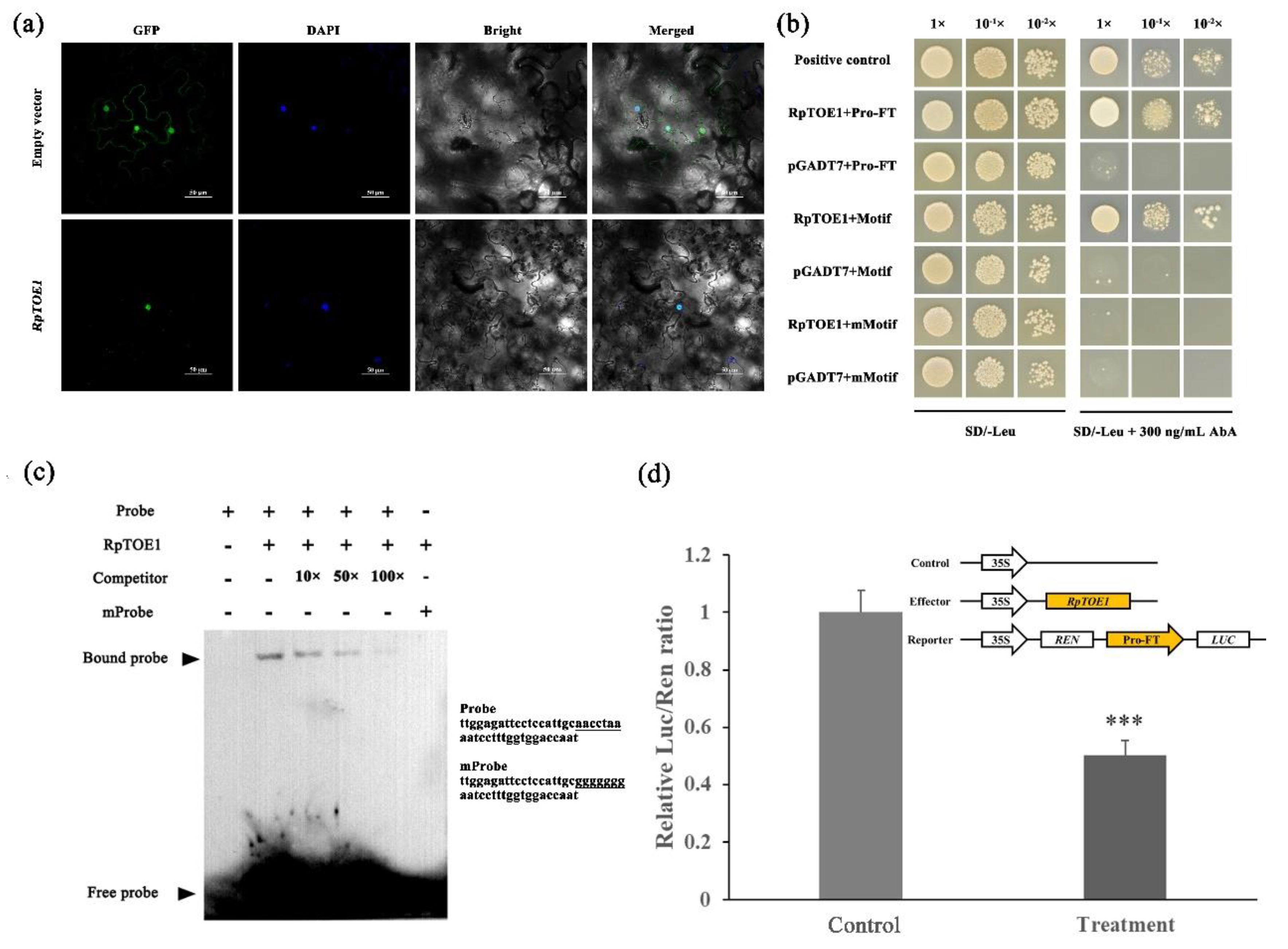 Ijms 23 05079 g005 Ijms 23 05079 g005