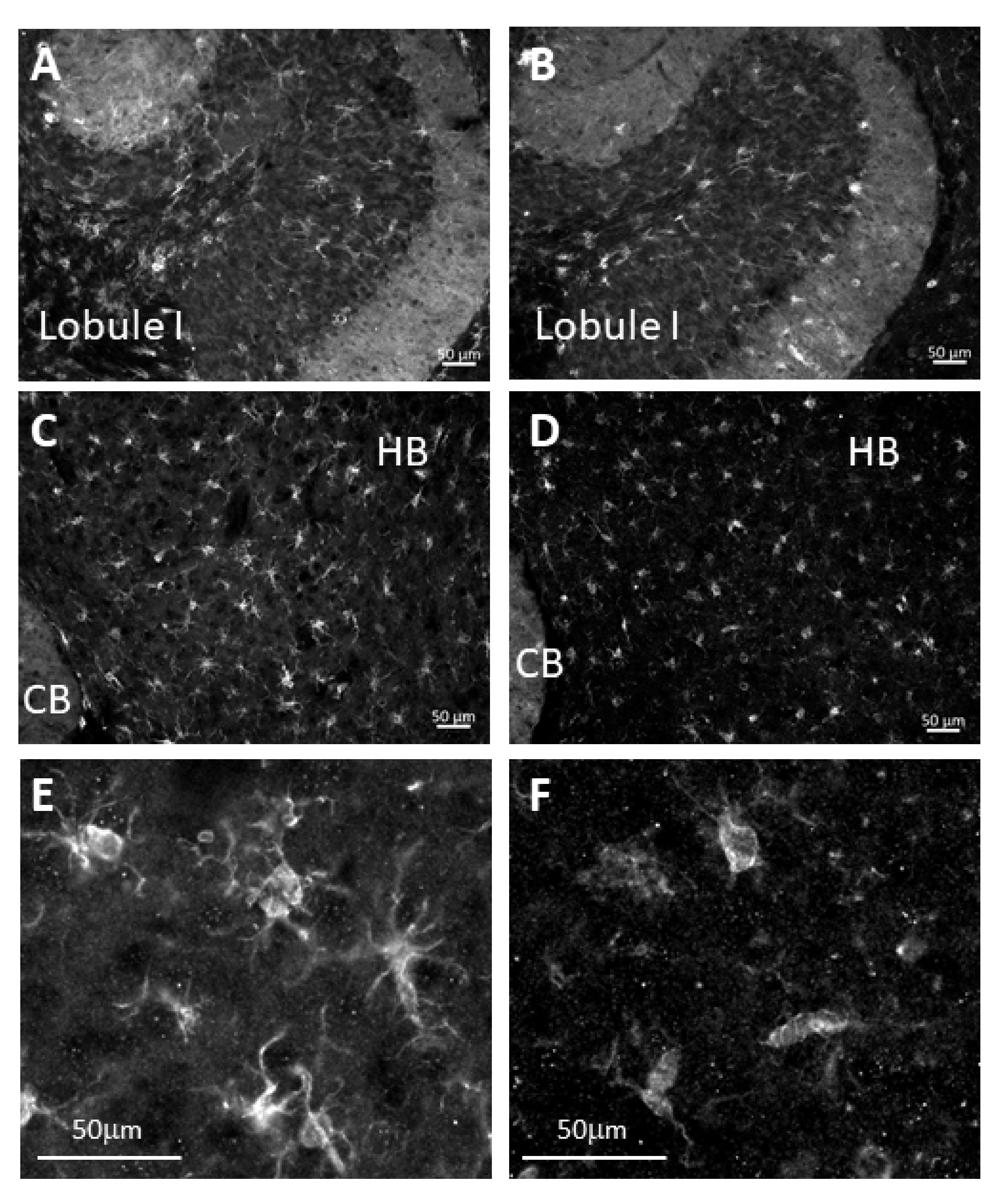 Ijms 23 05082 g005 550