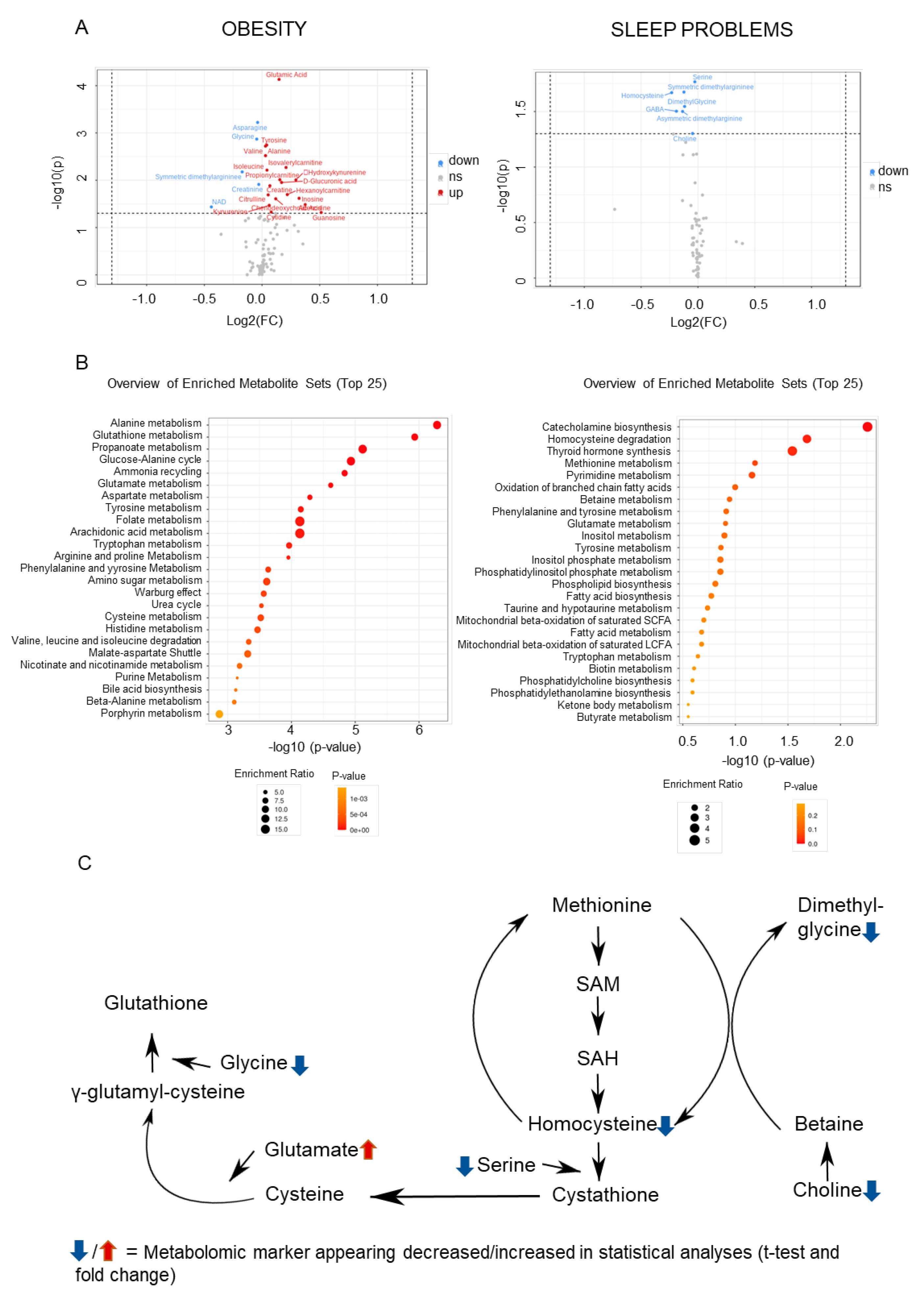 Ijms 23 05085 g004 550
