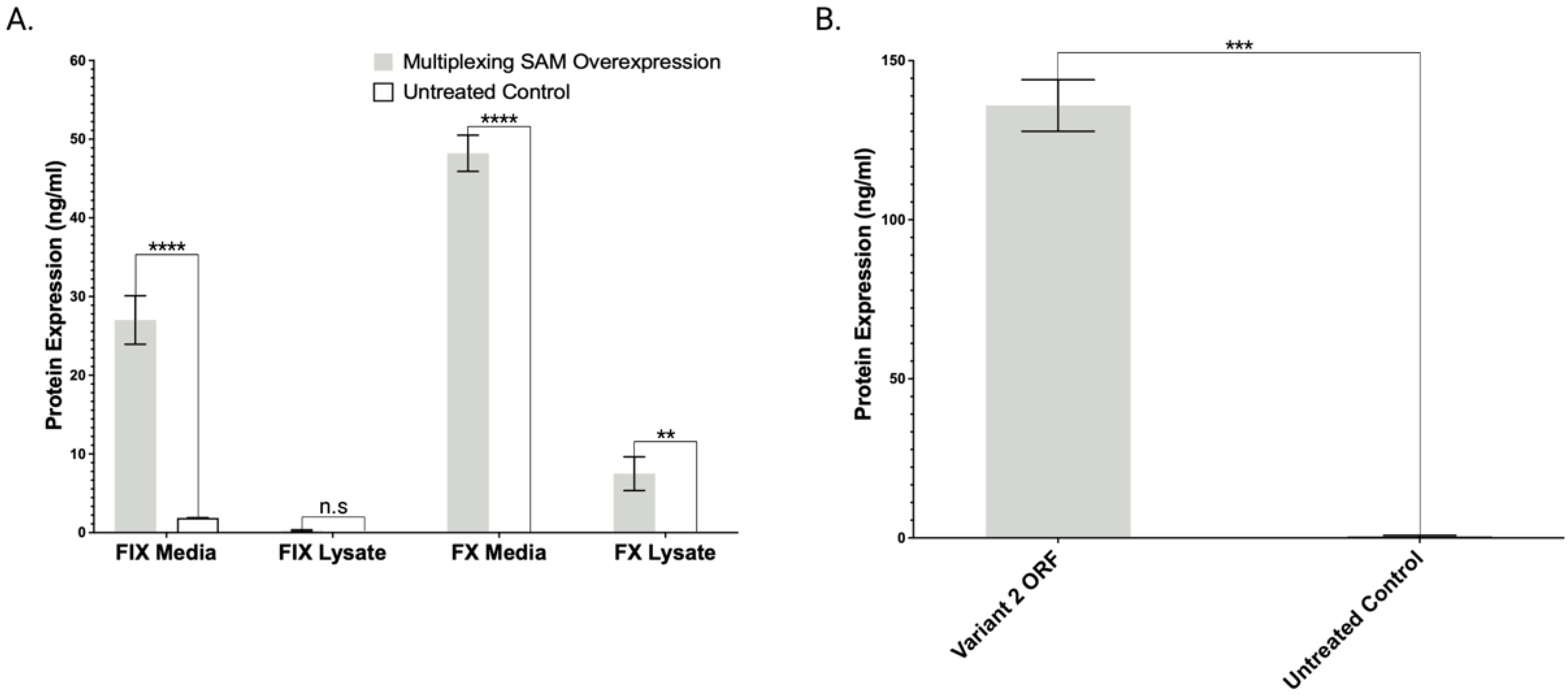 Ijms 23 05090 g003 Ijms 23 05090 g003