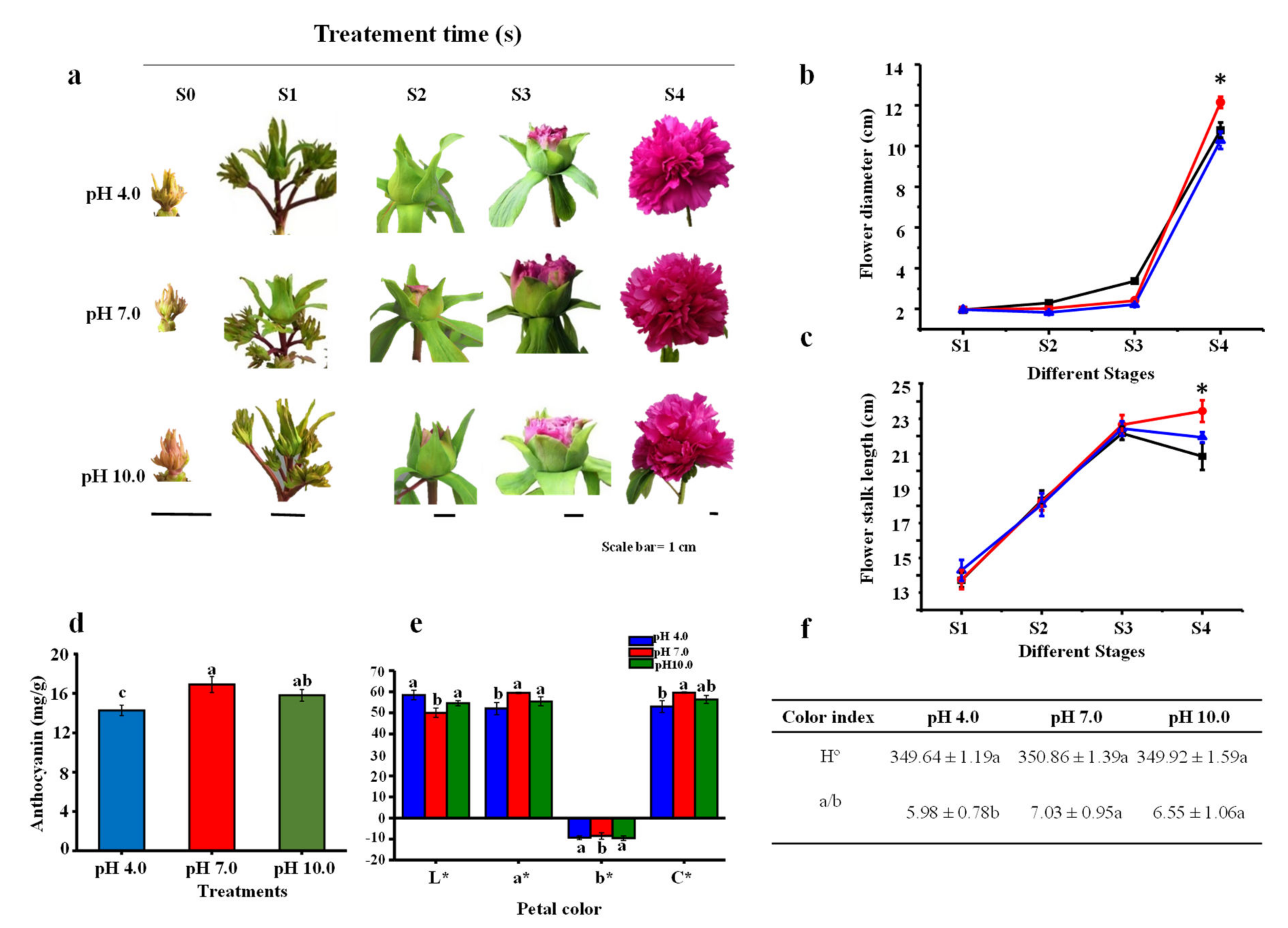 Ijms 23 05094 g001 550
