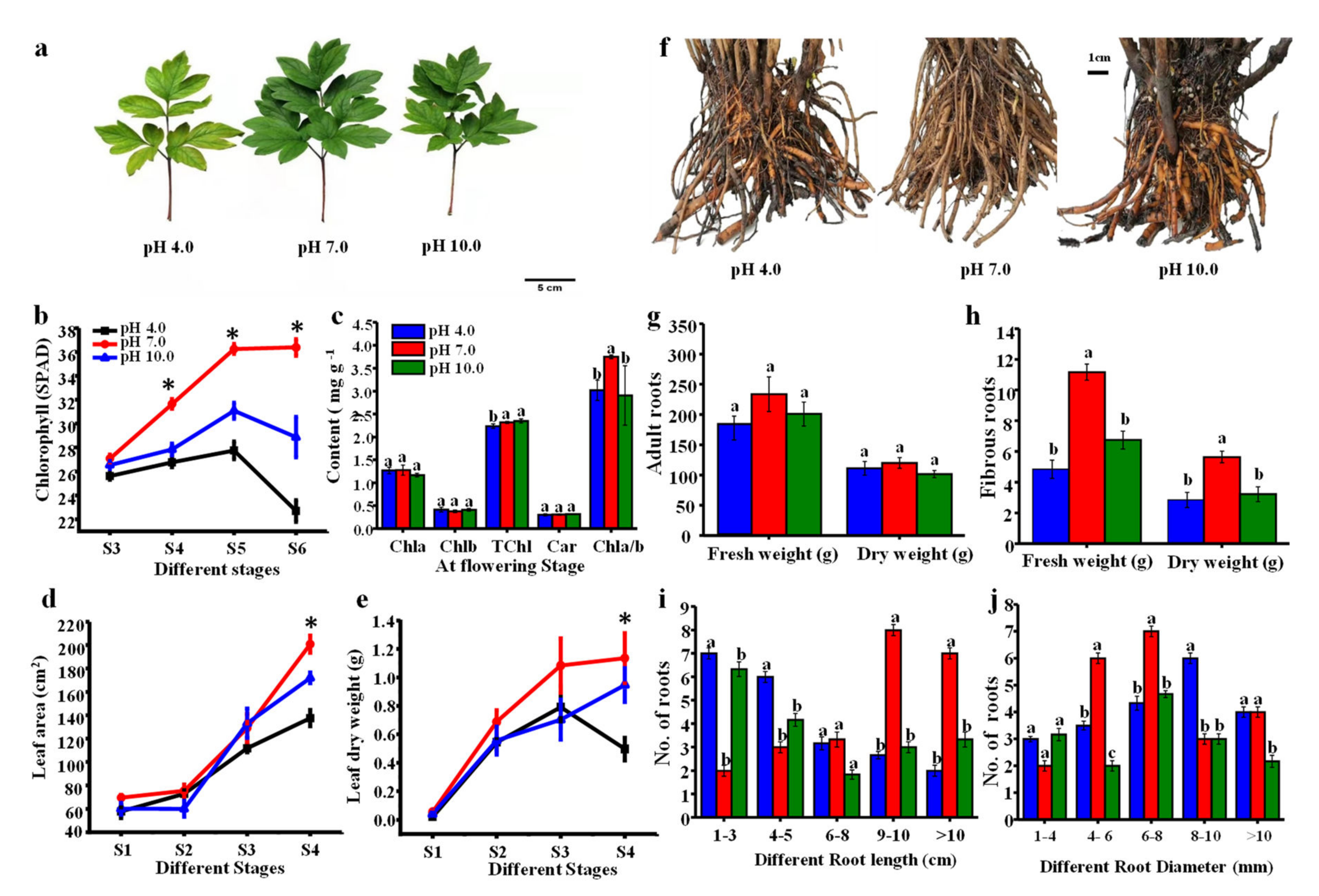 Ijms 23 05094 g002 550