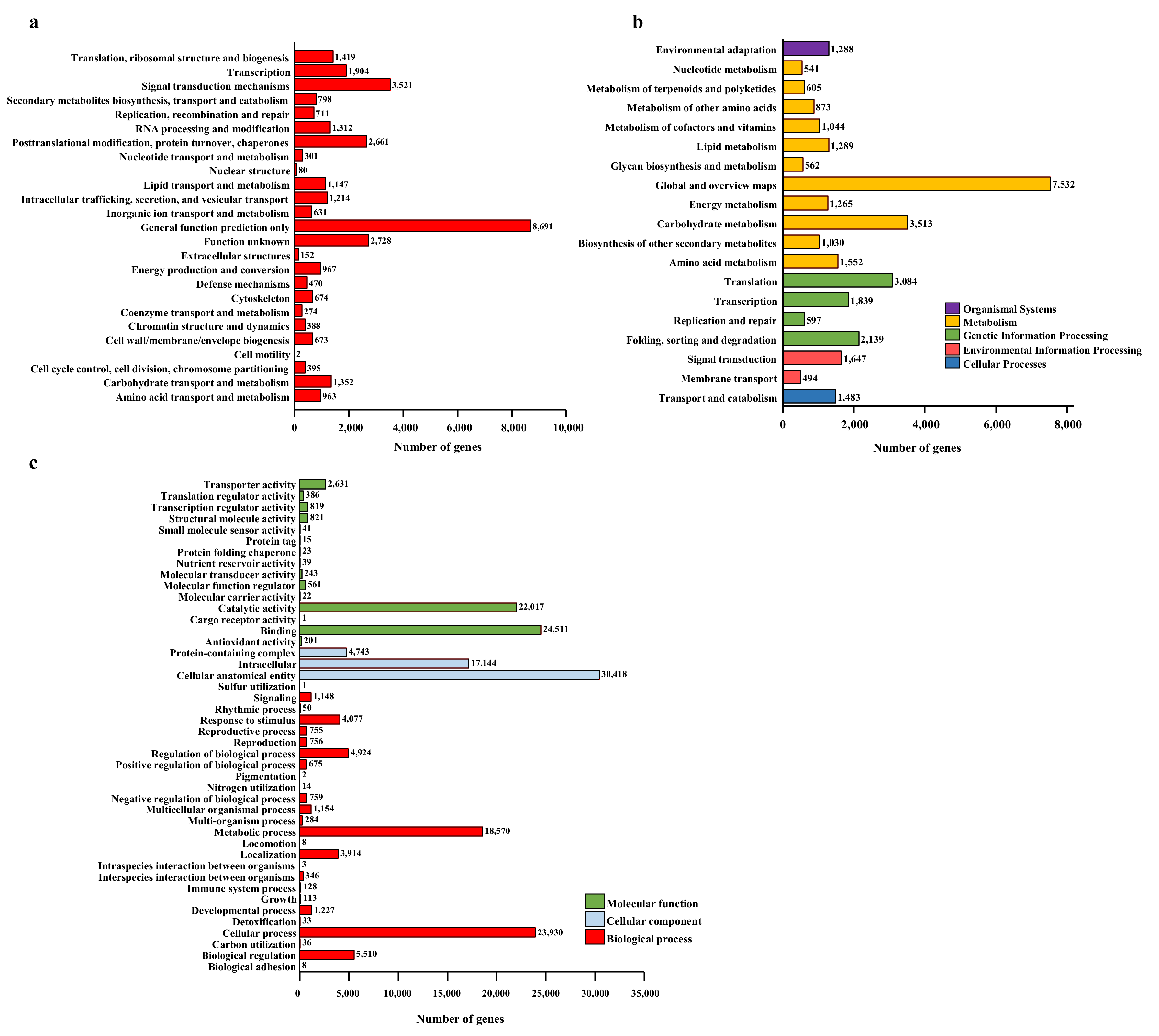 Ijms 23 05094 g003 550