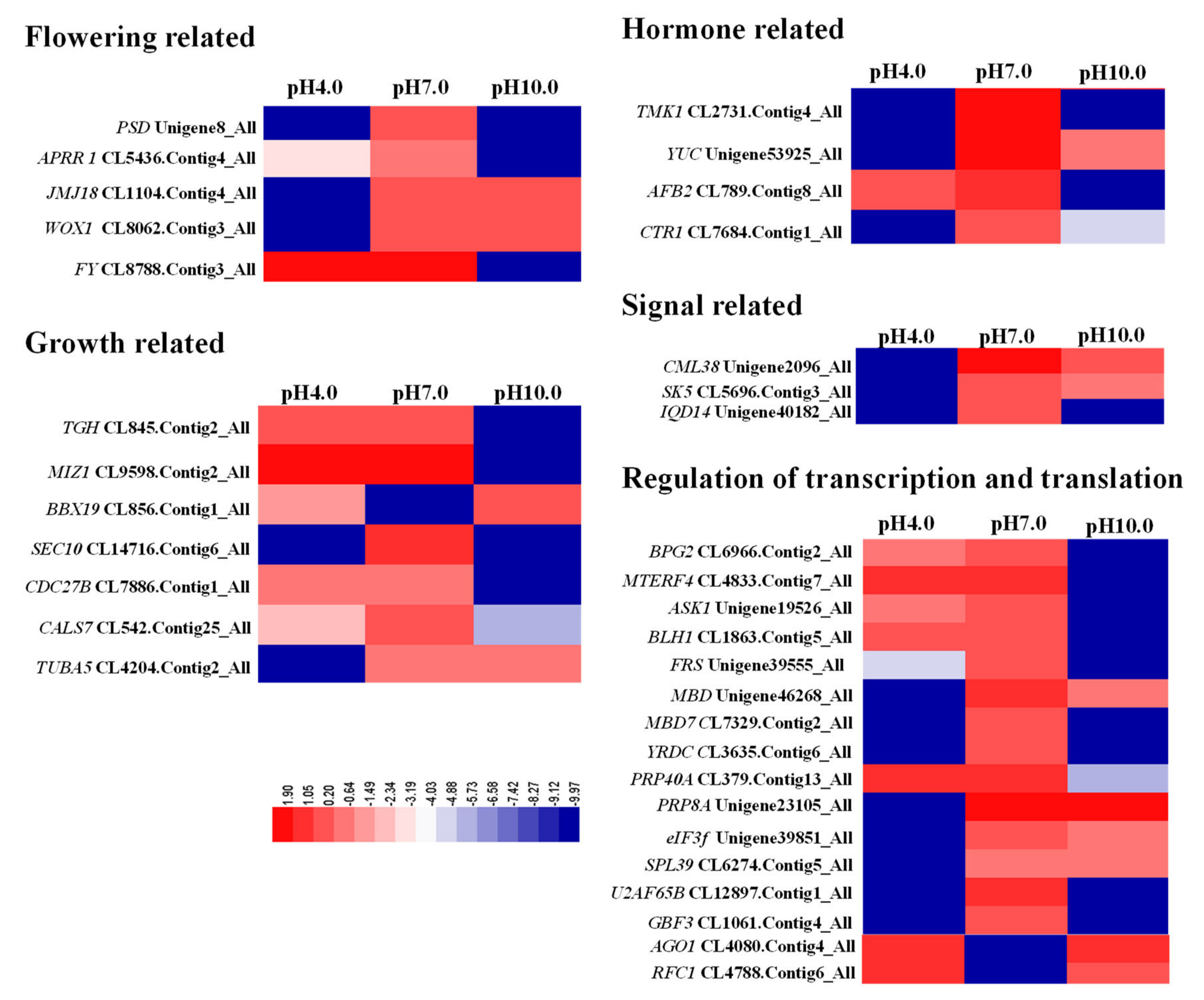 Ijms 23 05094 g004 550
