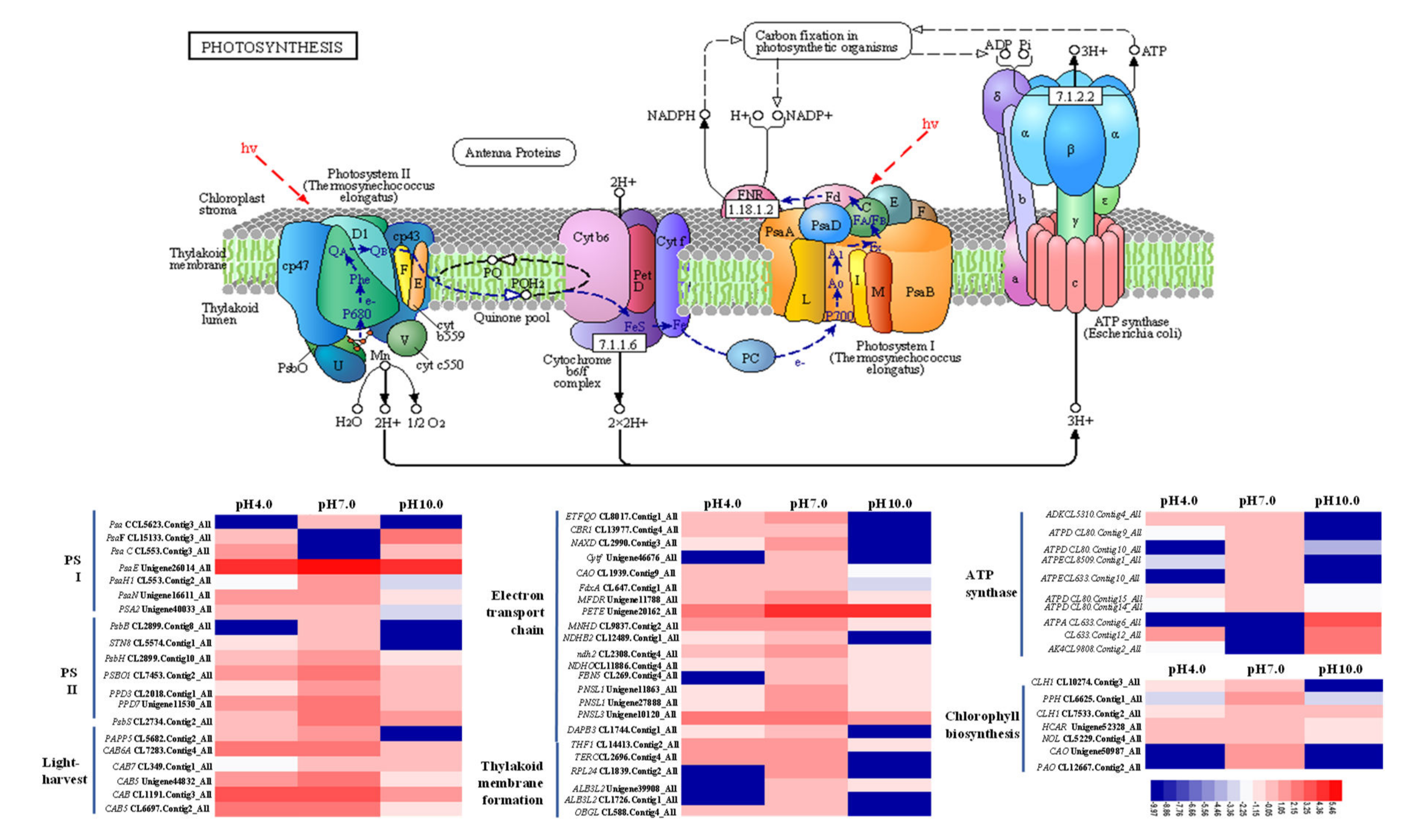 Ijms 23 05094 g007 550