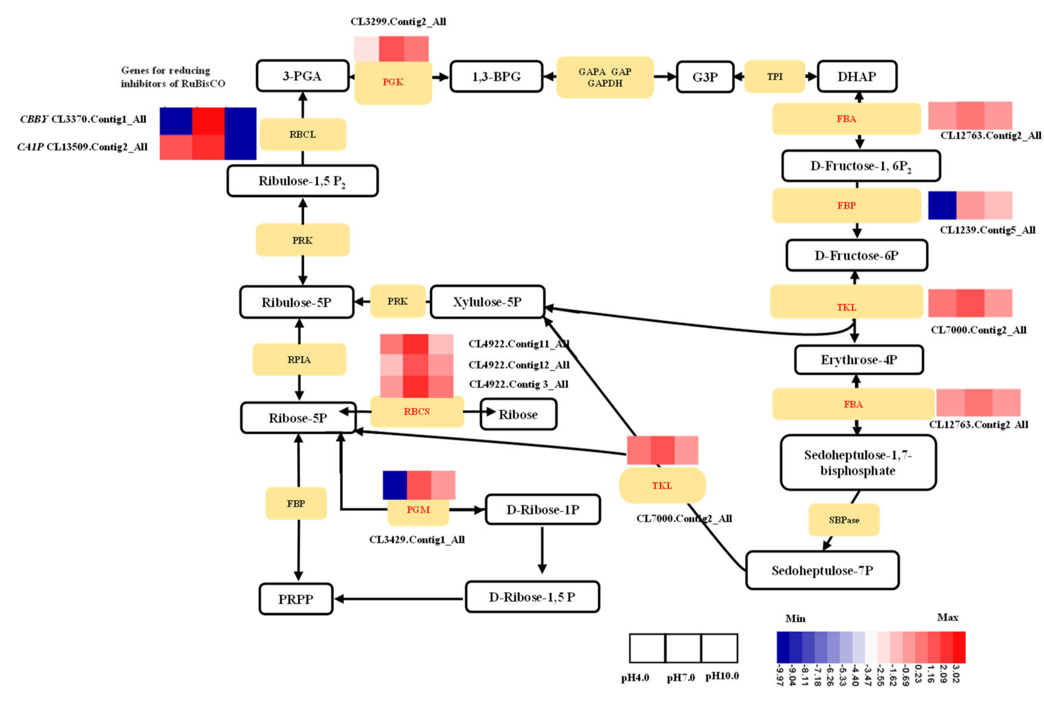 Ijms 23 05094 g008 550