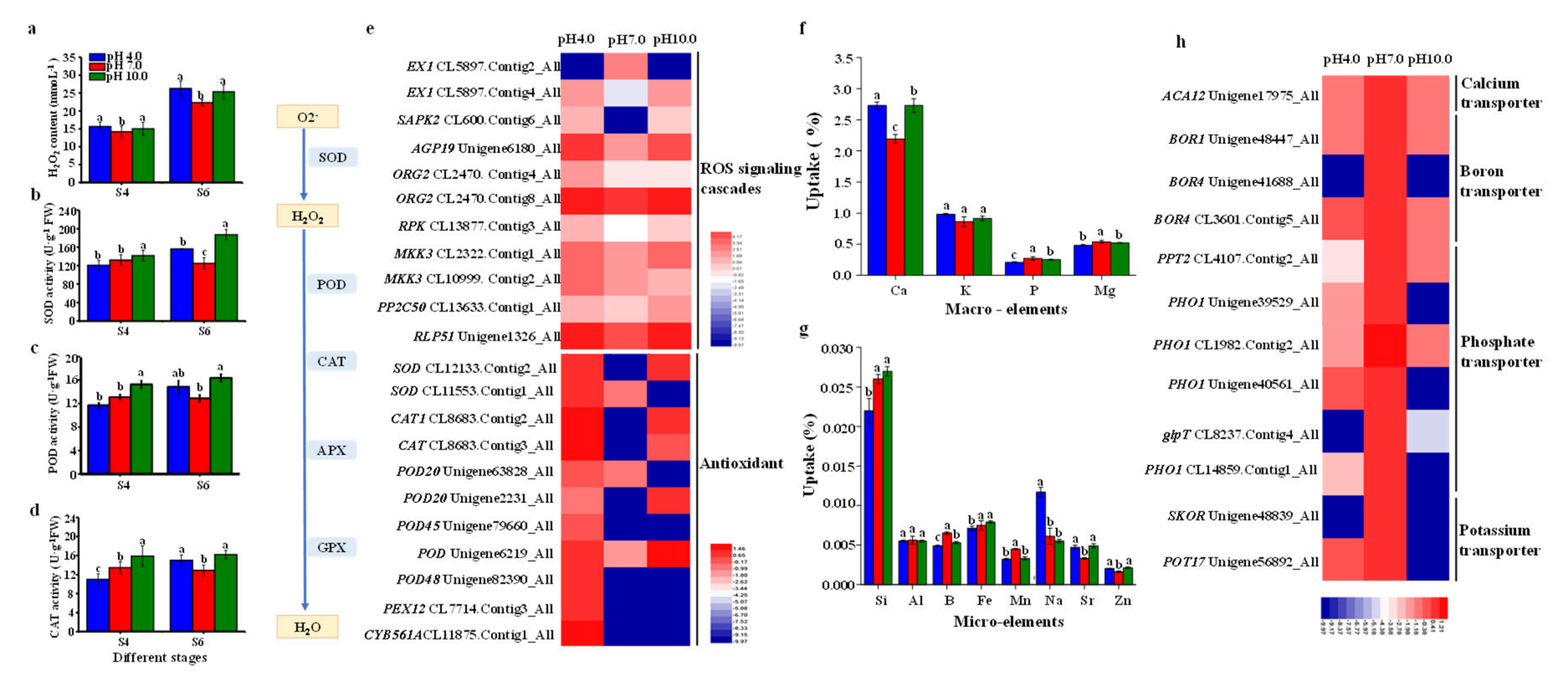 Ijms 23 05094 g009 550