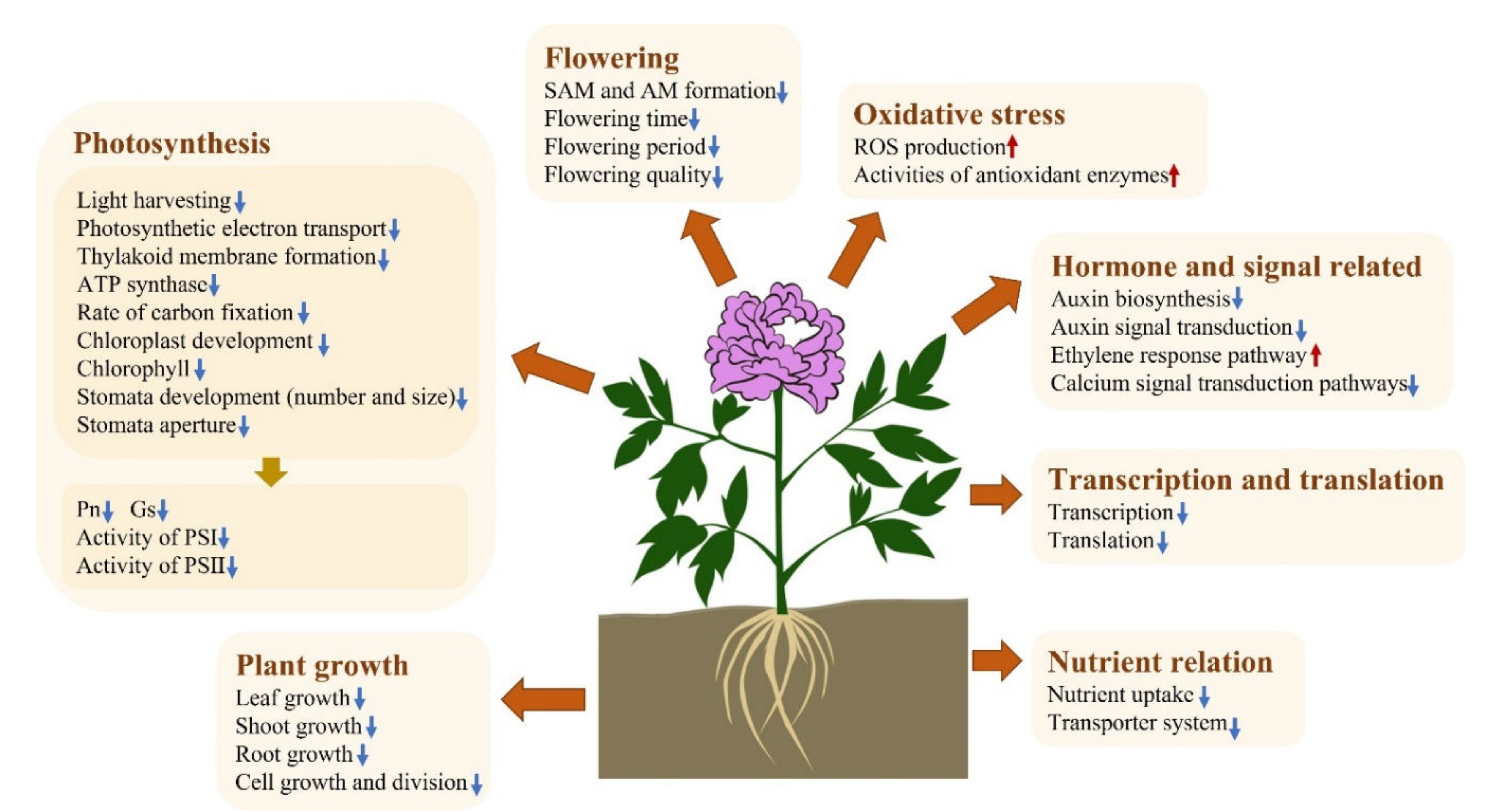 Ijms 23 05094 g010 550