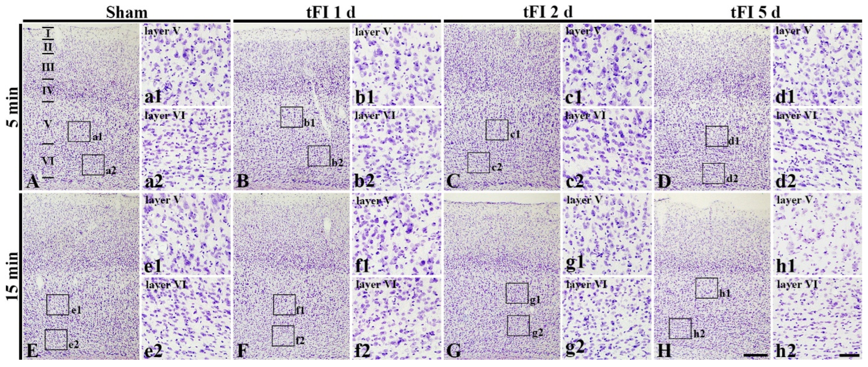 Ijms 23 05096 g002 550