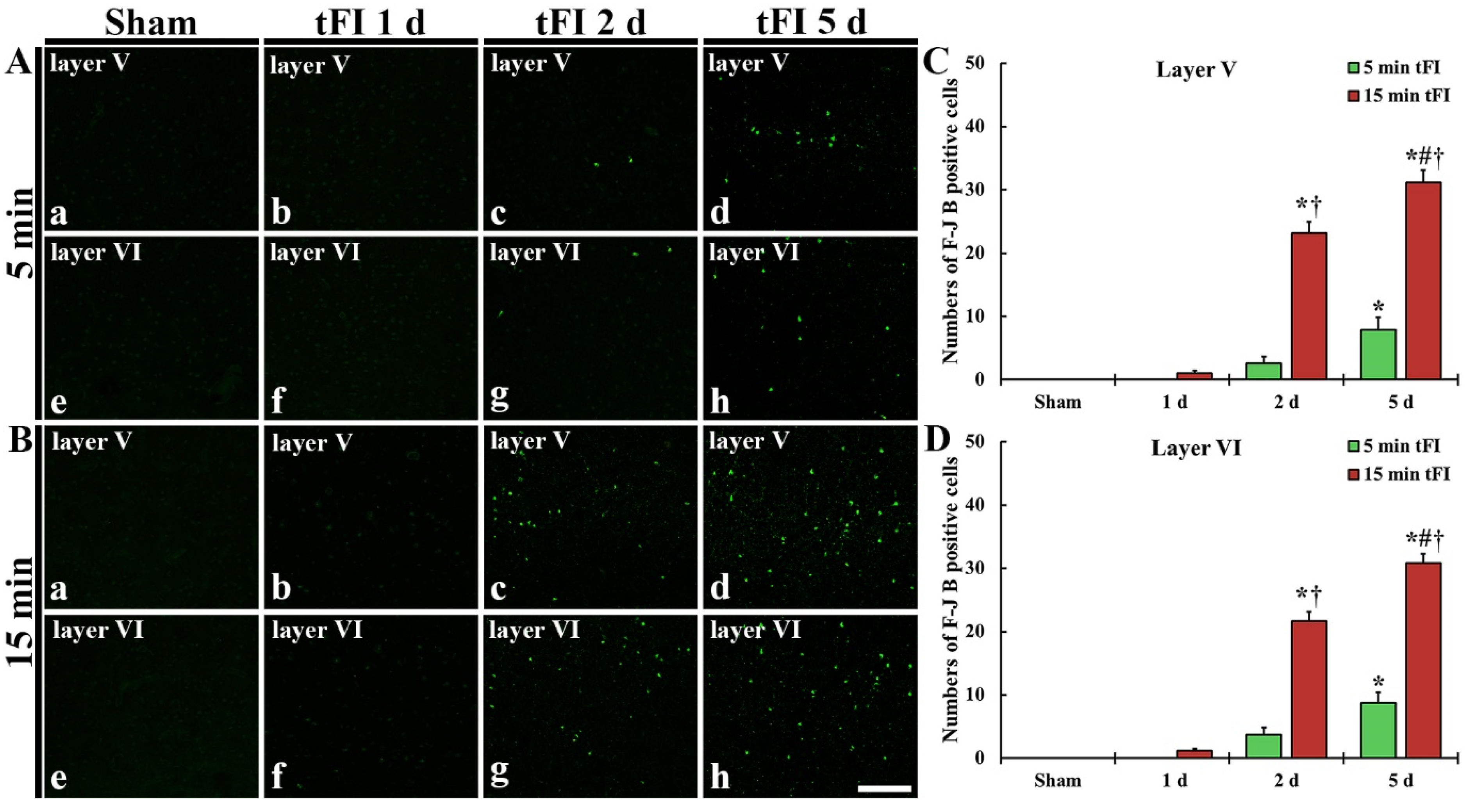 Ijms 23 05096 g003 550