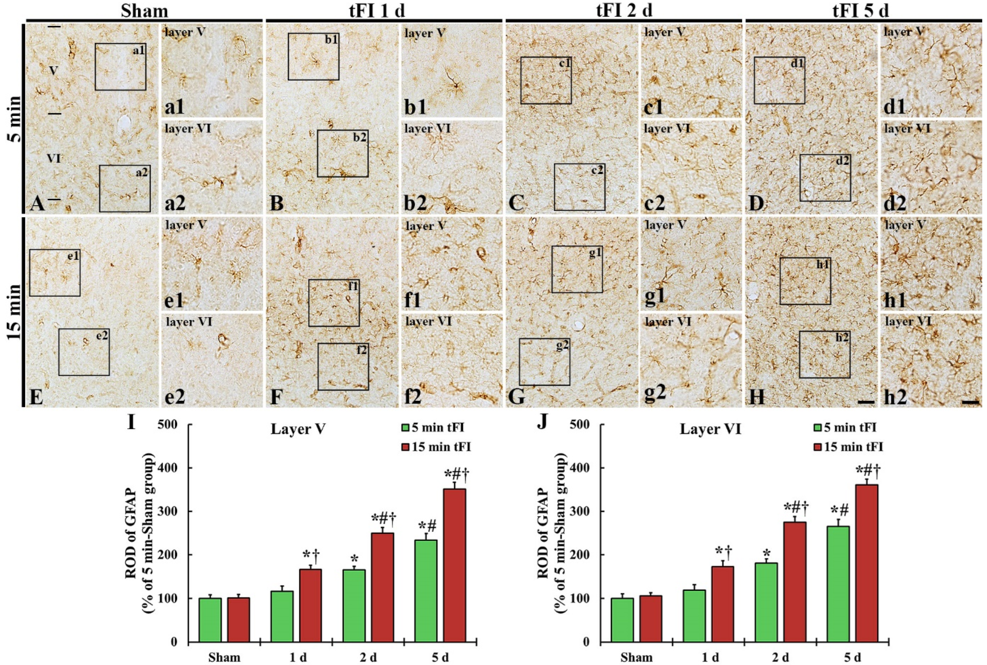 Ijms 23 05096 g004 550