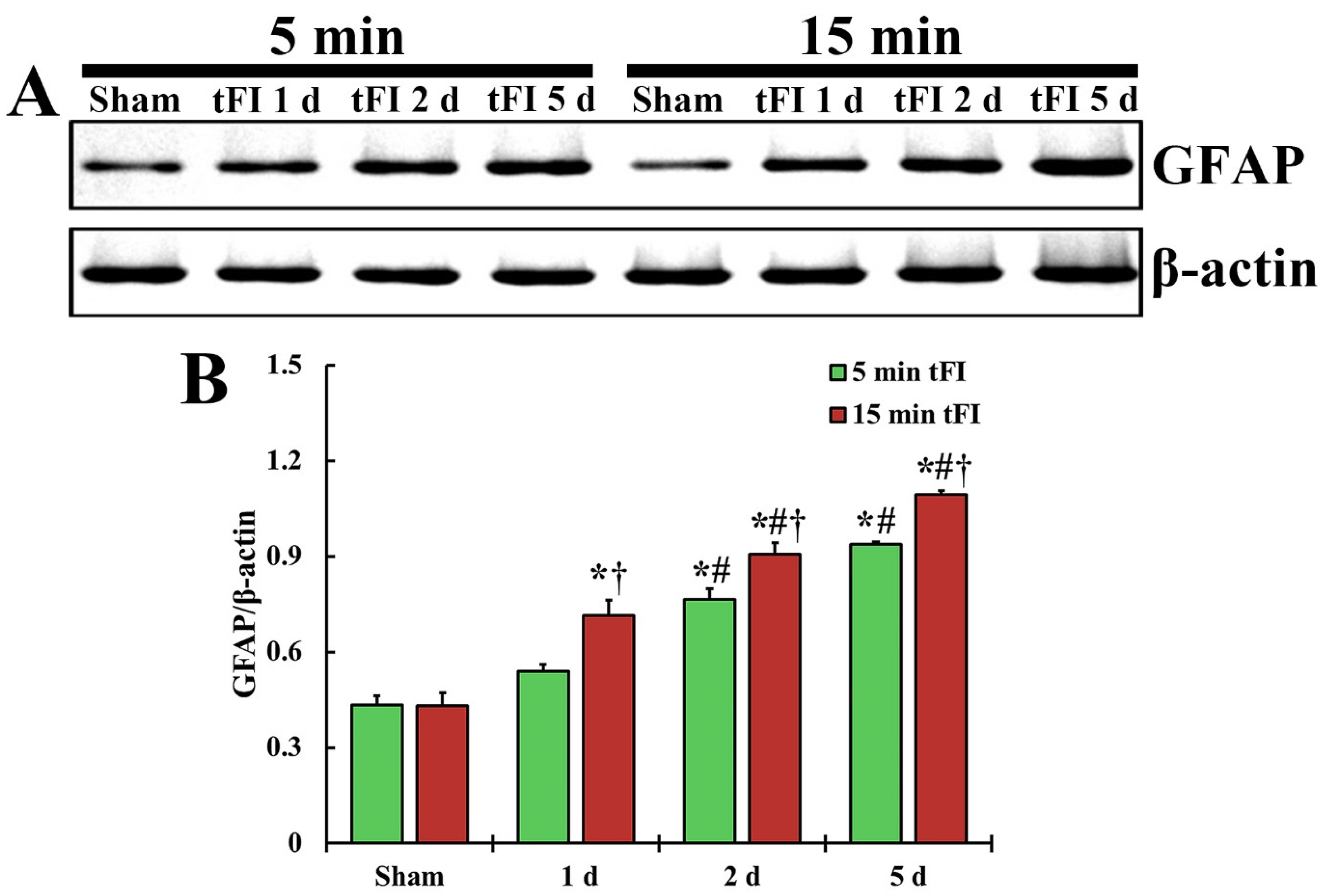 Ijms 23 05096 g005 550