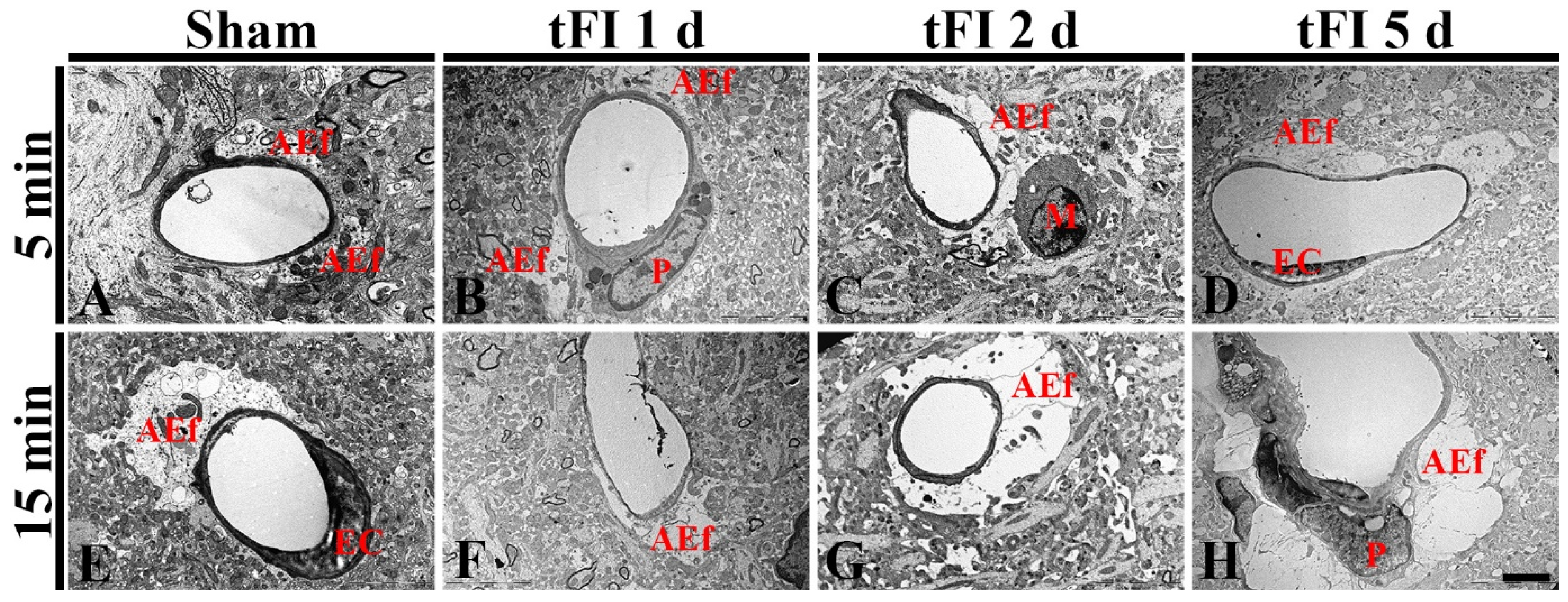 Ijms 23 05096 g008 550