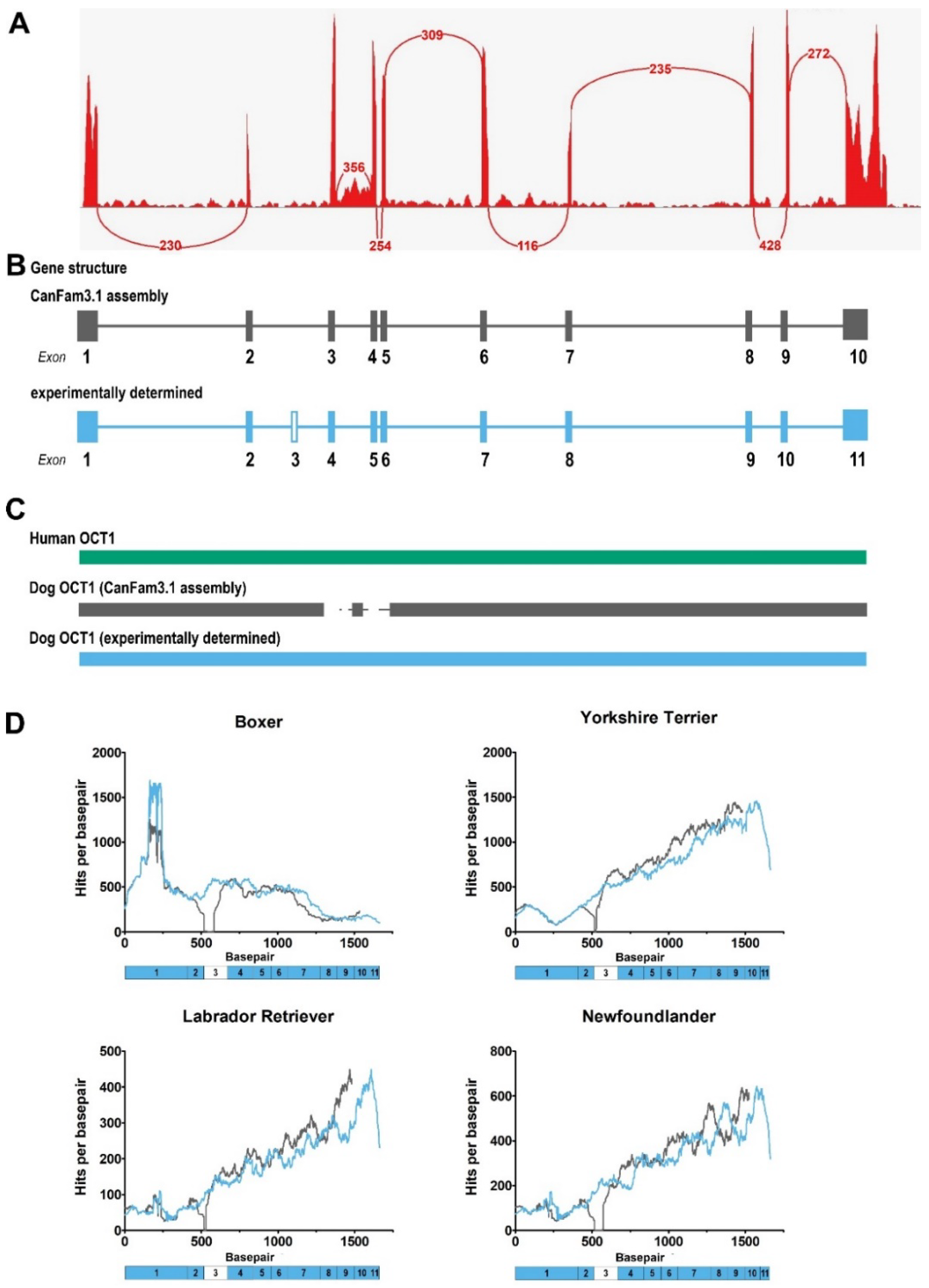 Ijms 23 05100 g001 550