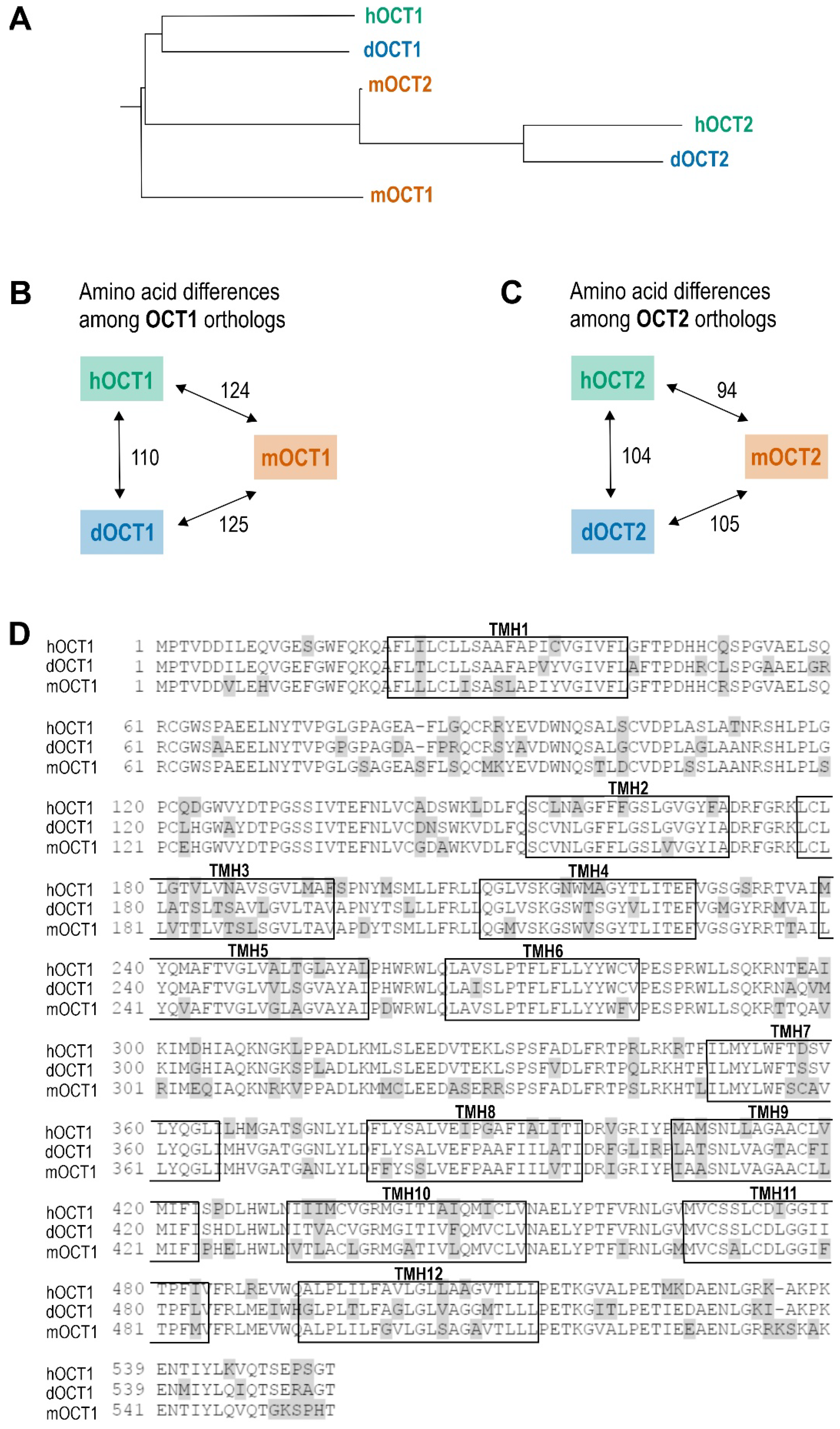 Ijms 23 05100 g002 550