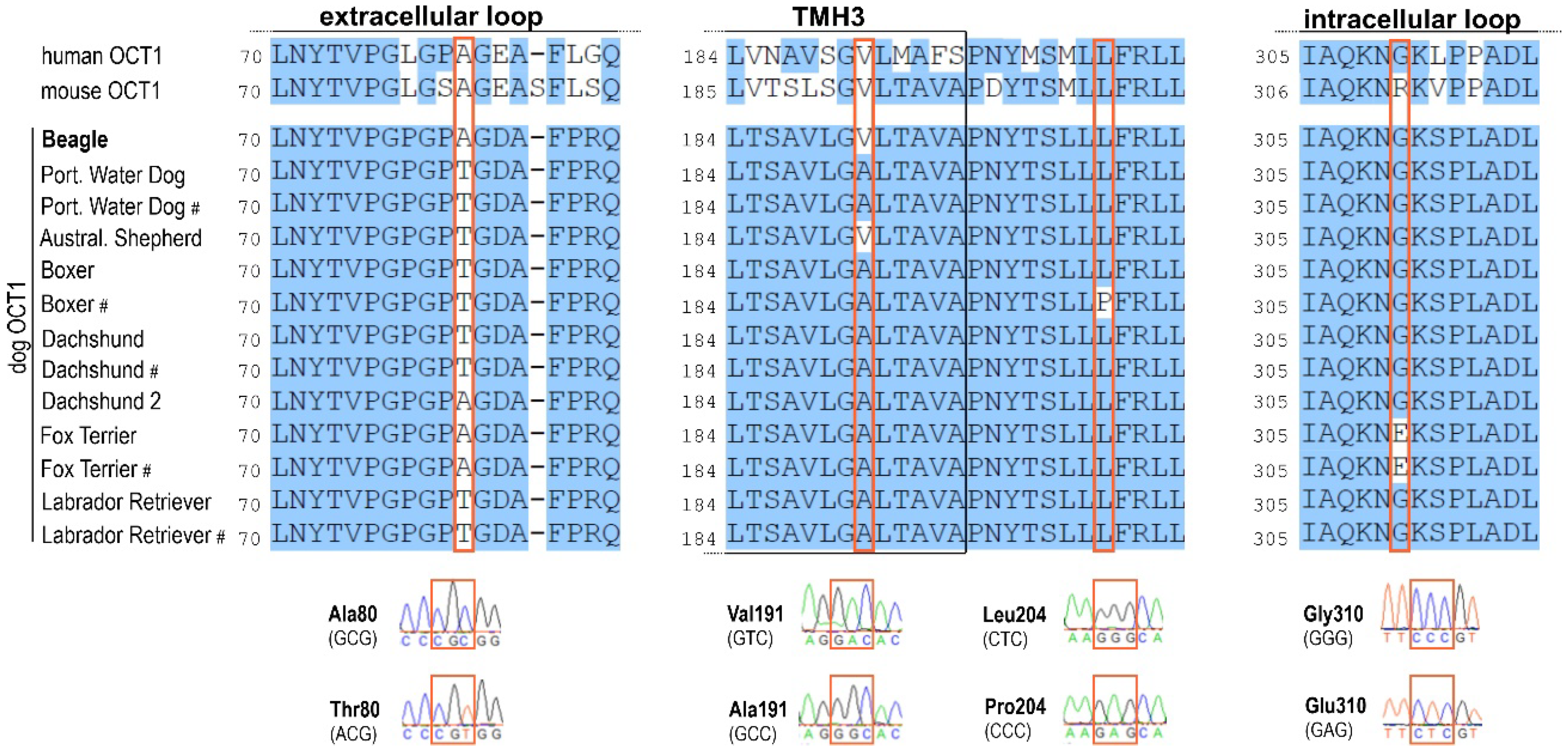 Ijms 23 05100 g007 550