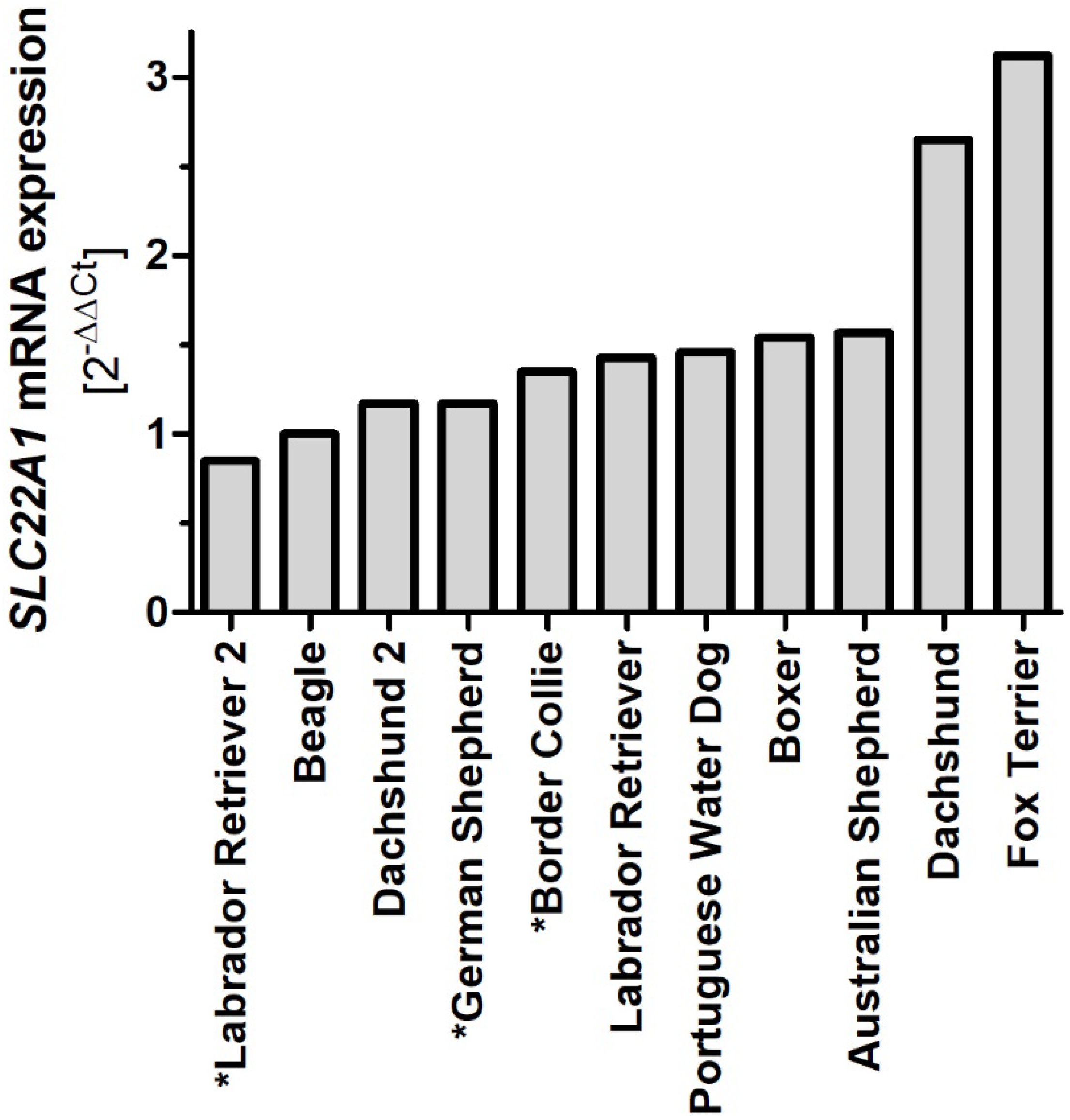 Ijms 23 05100 g008 550
