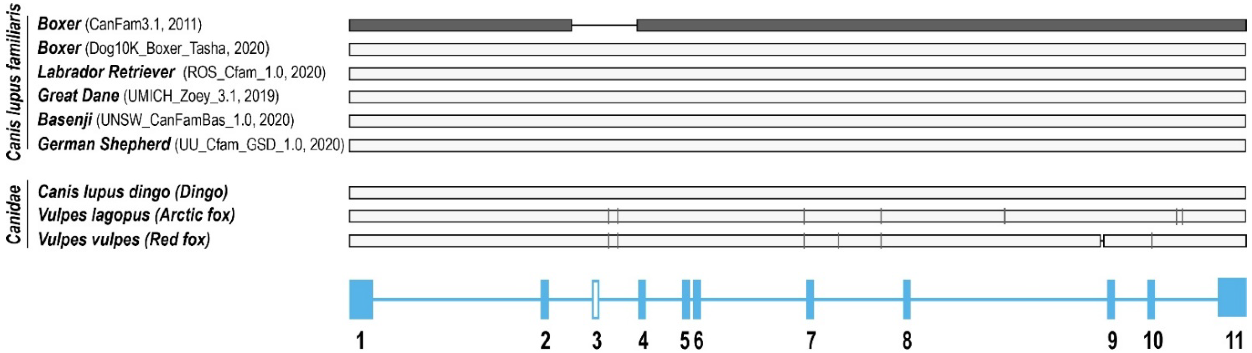Ijms 23 05100 g009 550
