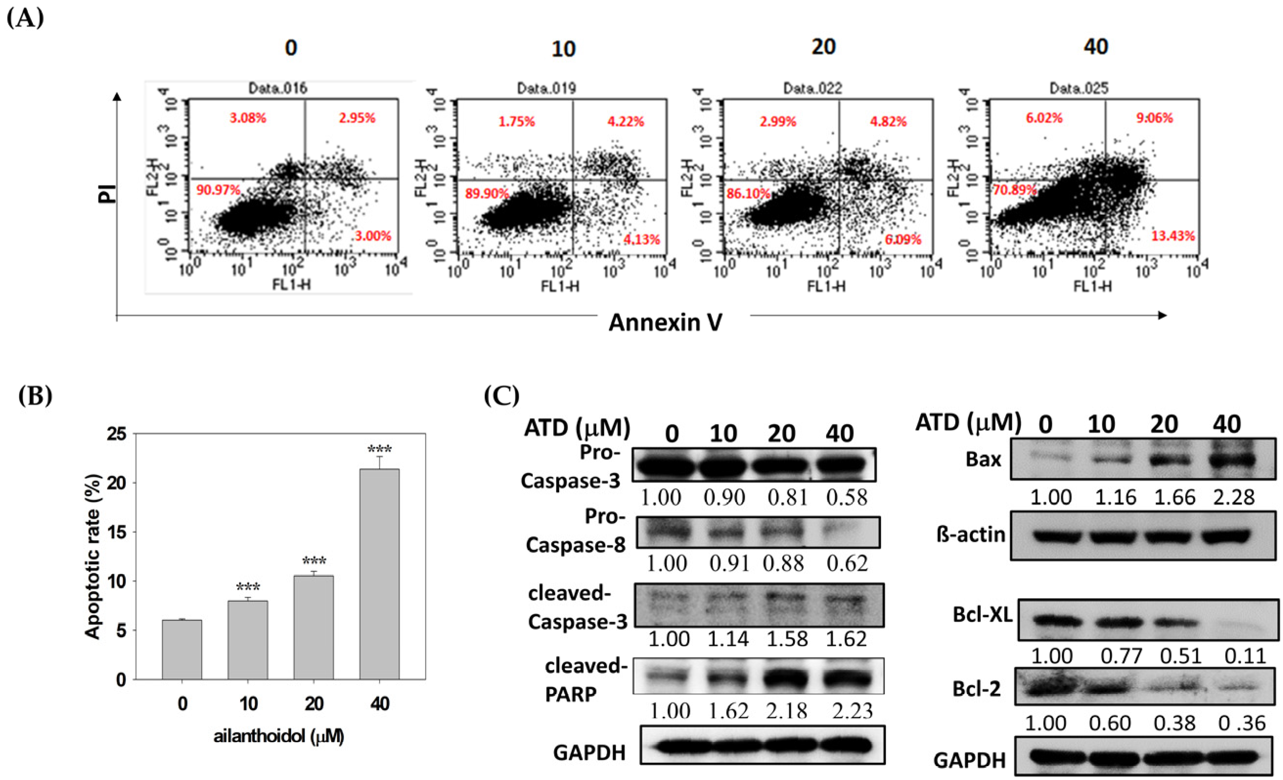 Ijms 23 05102 g004 550