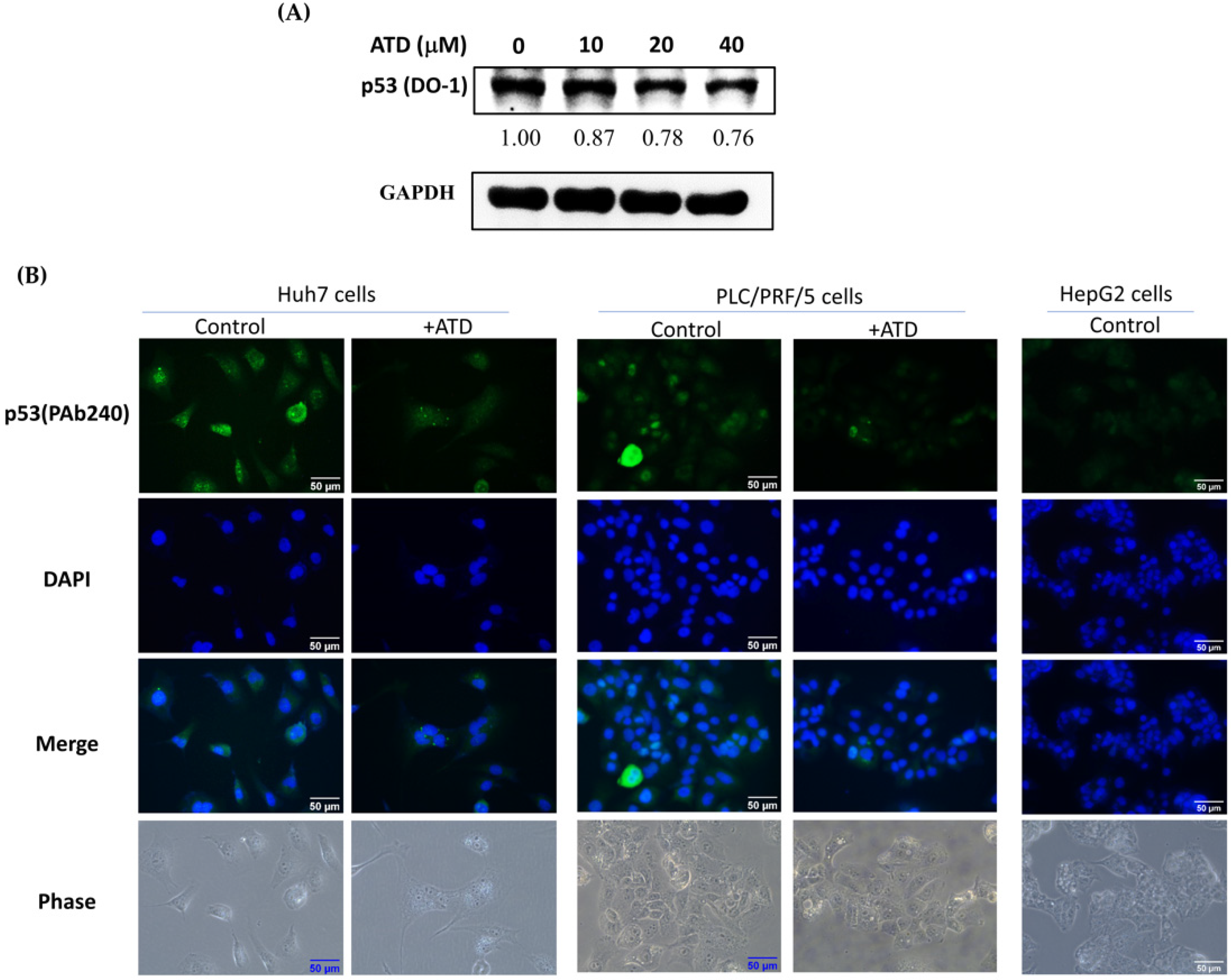 Ijms 23 05102 g005 550