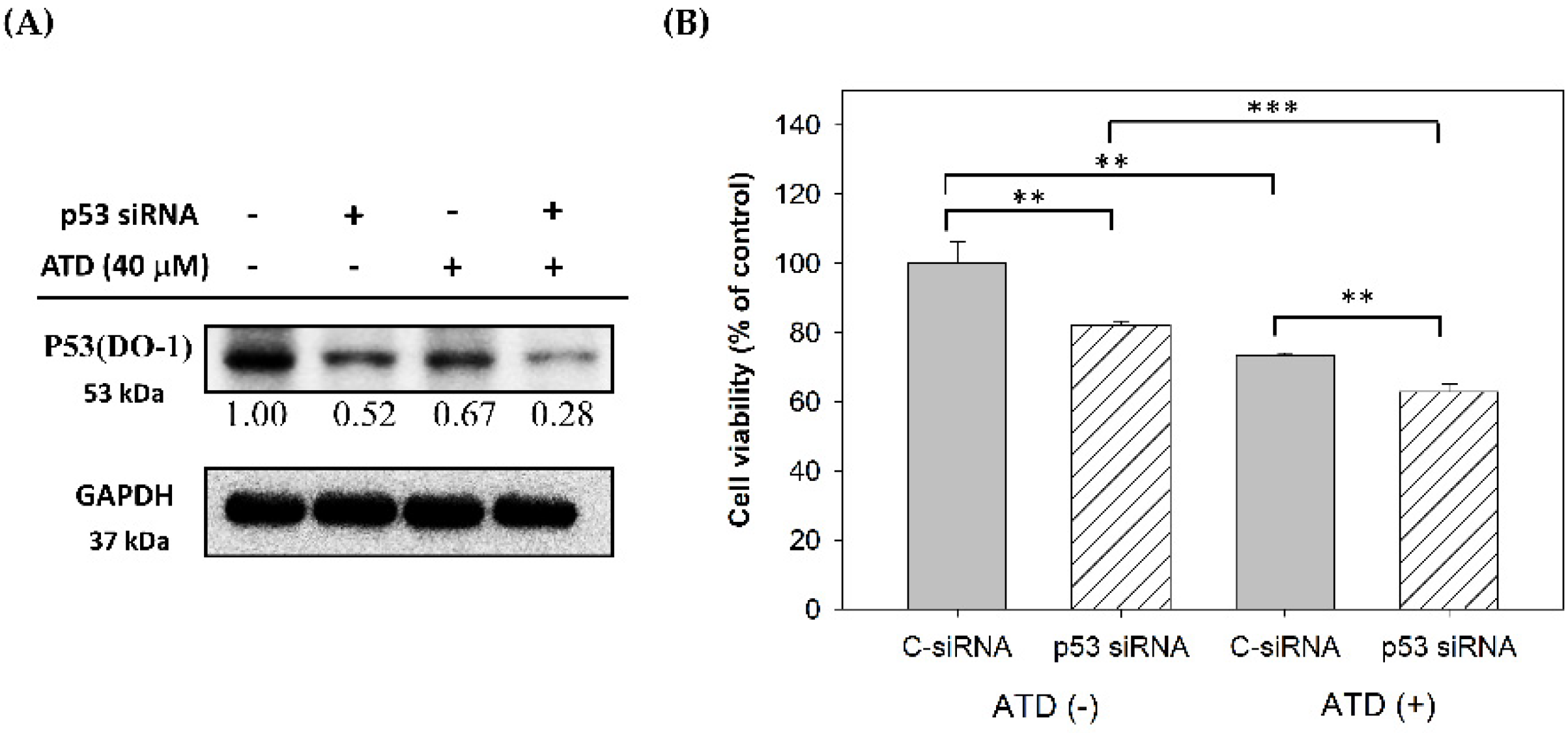 Ijms 23 05102 g006 550