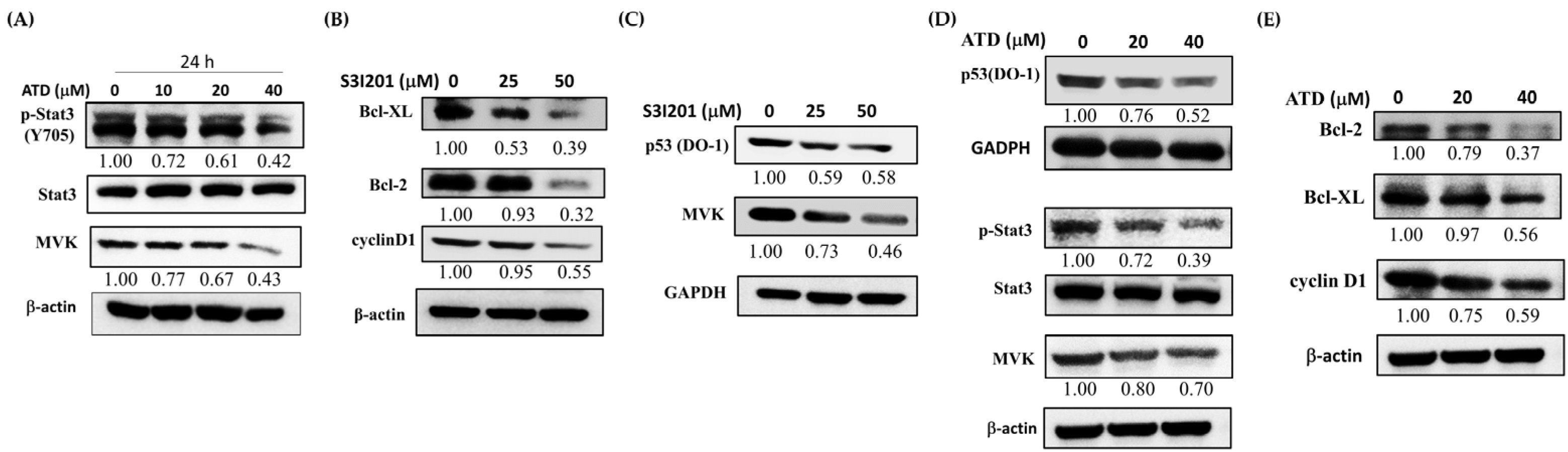 Ijms 23 05102 g007 550