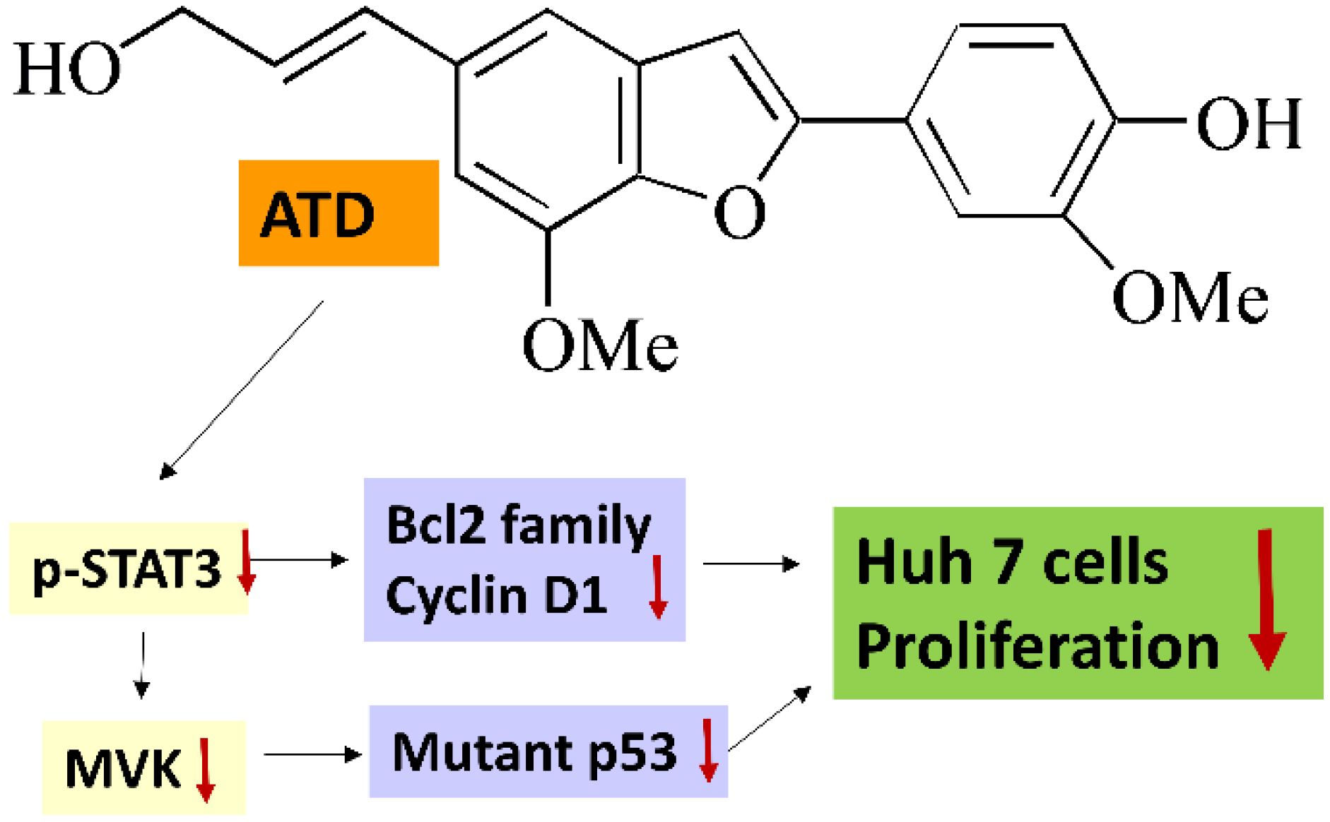 Ijms 23 05102 g008 550
