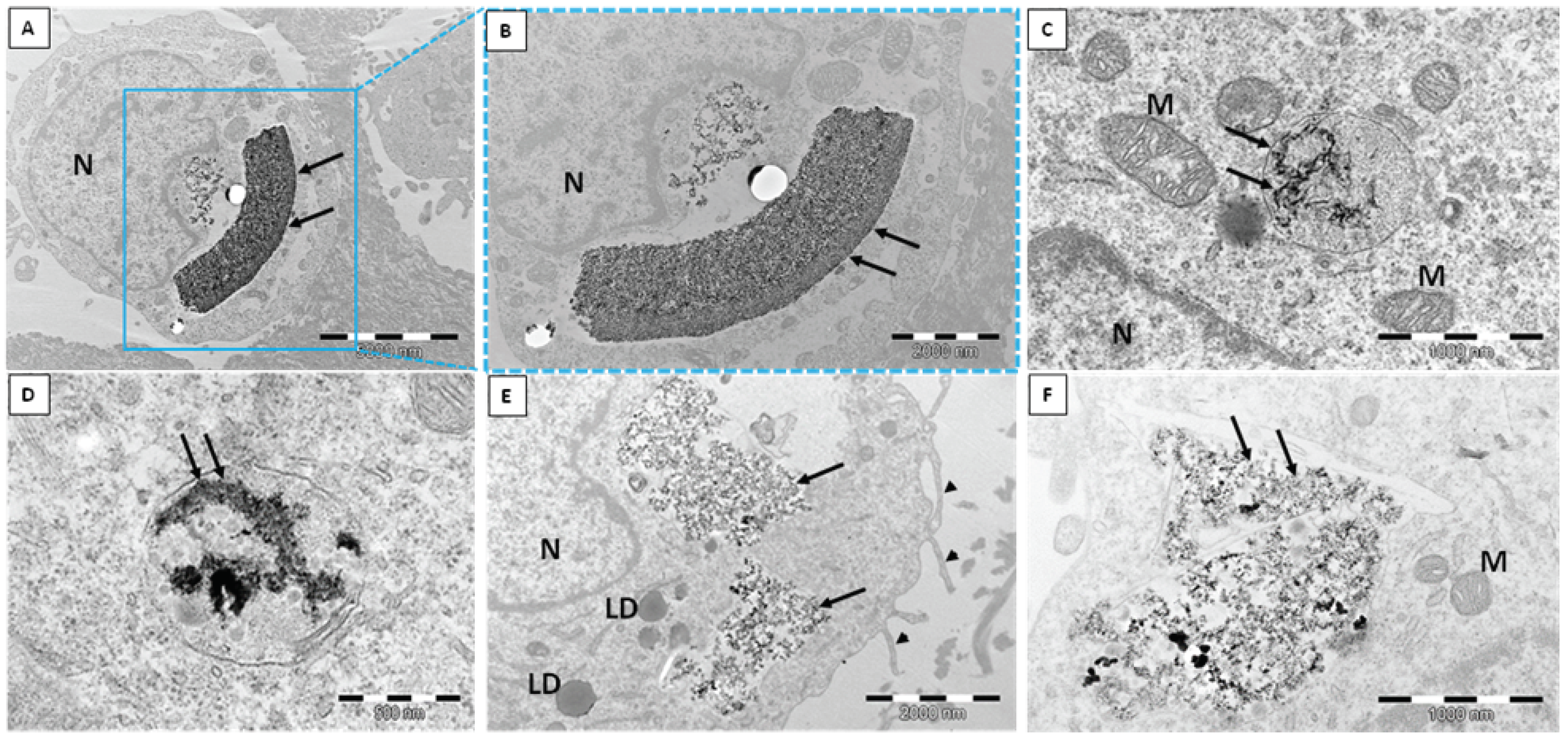 Ijms 23 05103 g001 550