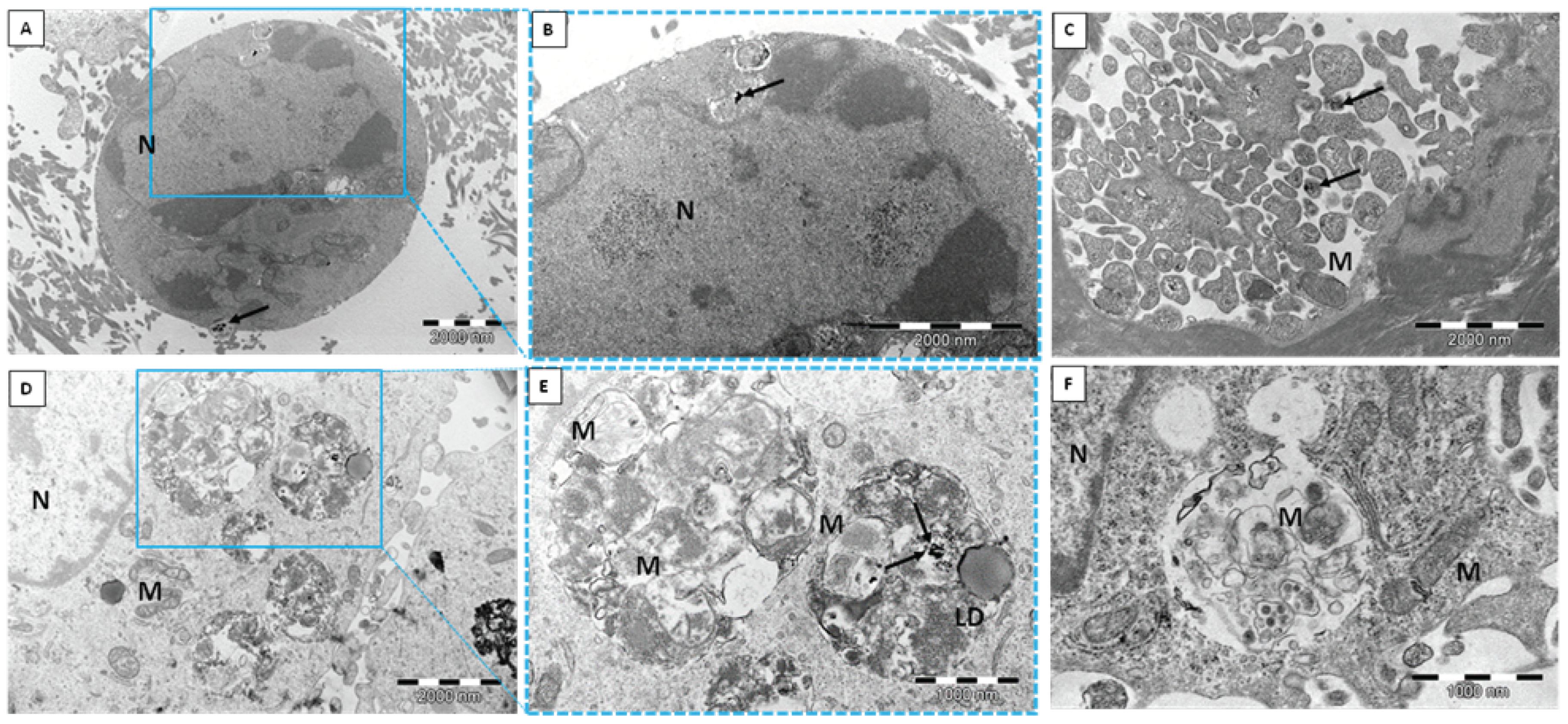 Ijms 23 05103 g002 550