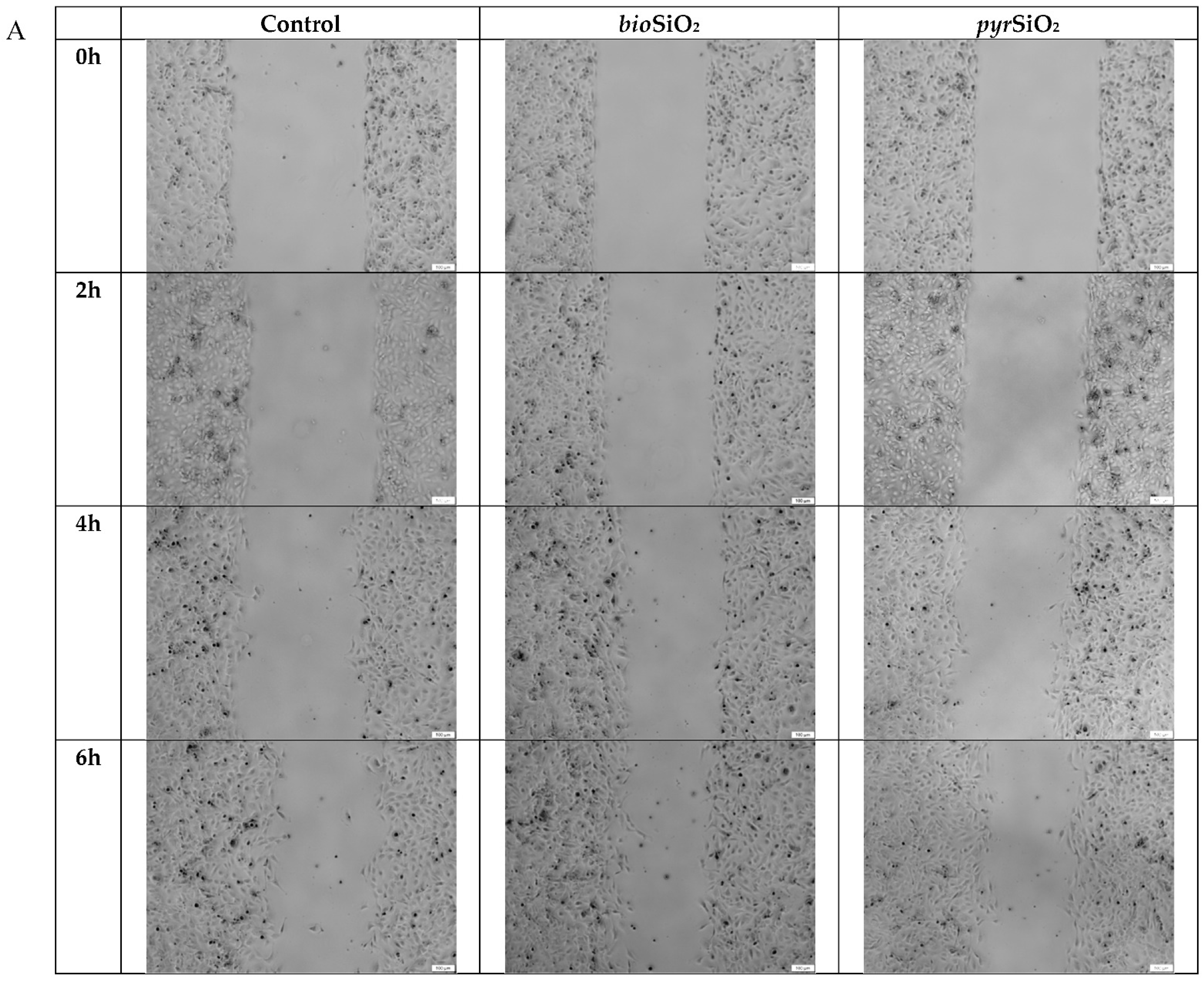 Ijms 23 05103 g006a 550