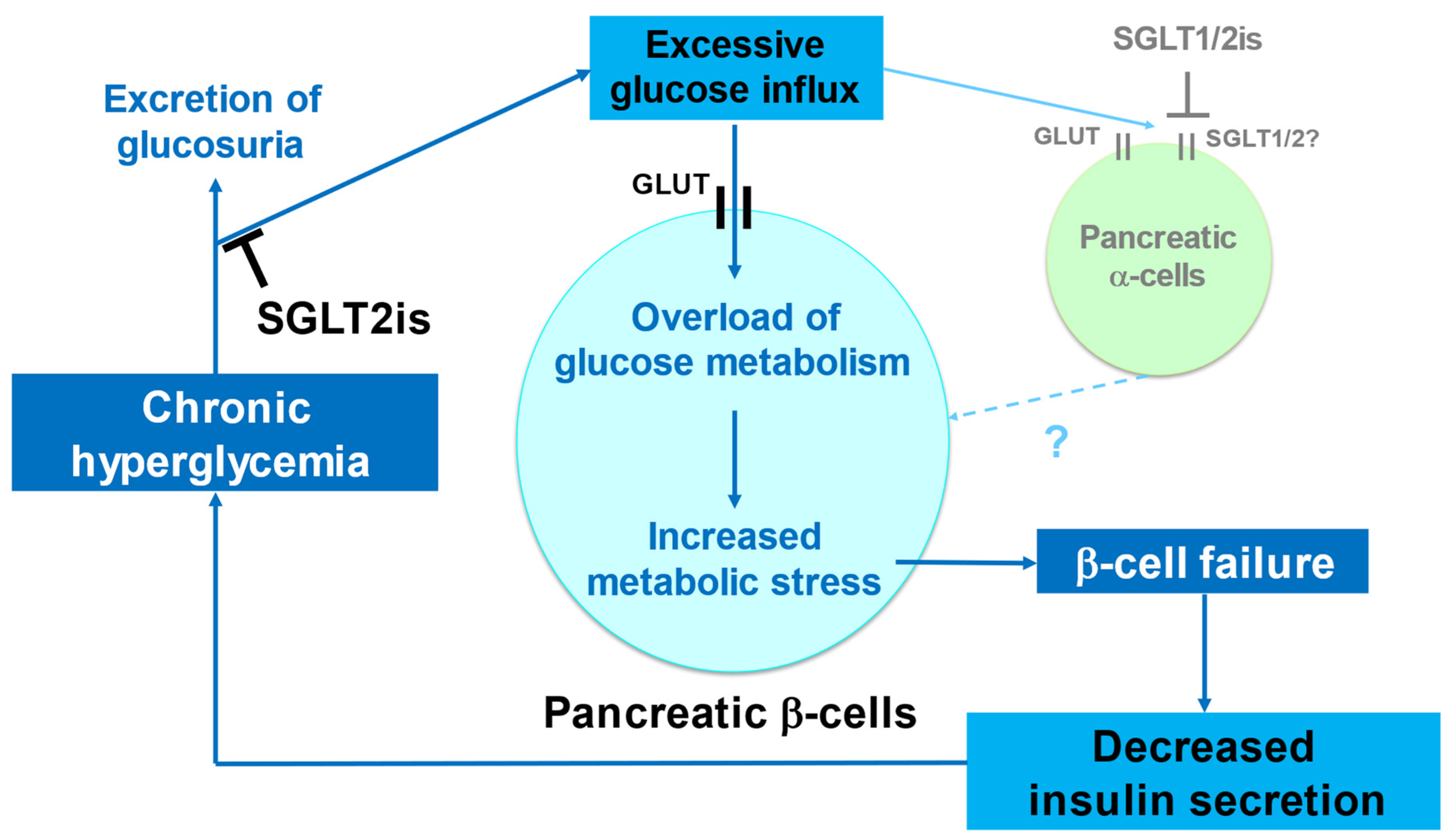 Ijms 23 05104 g002 Ijms 23 05104 g002