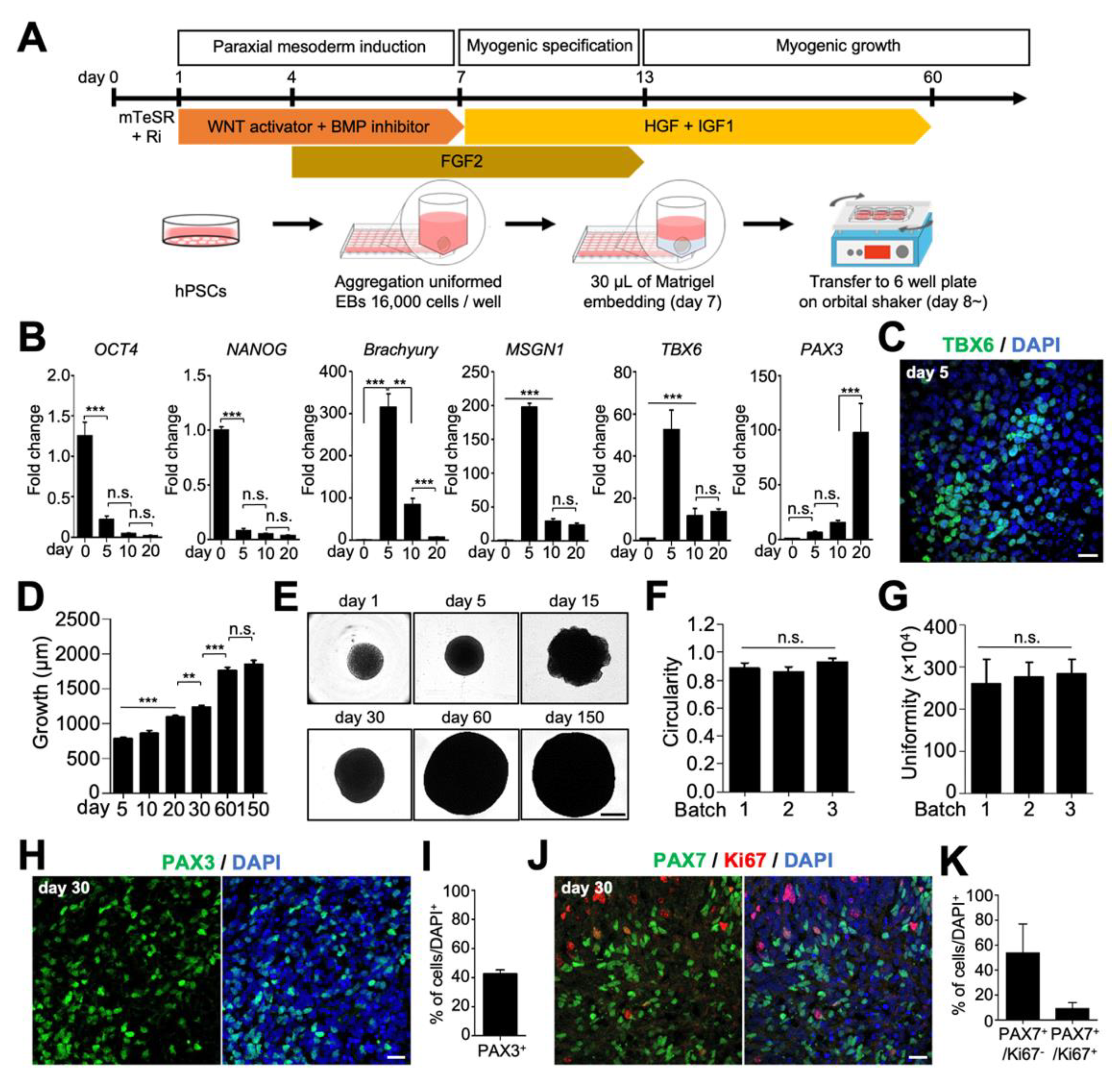 Ijms 23 05108 g001 550