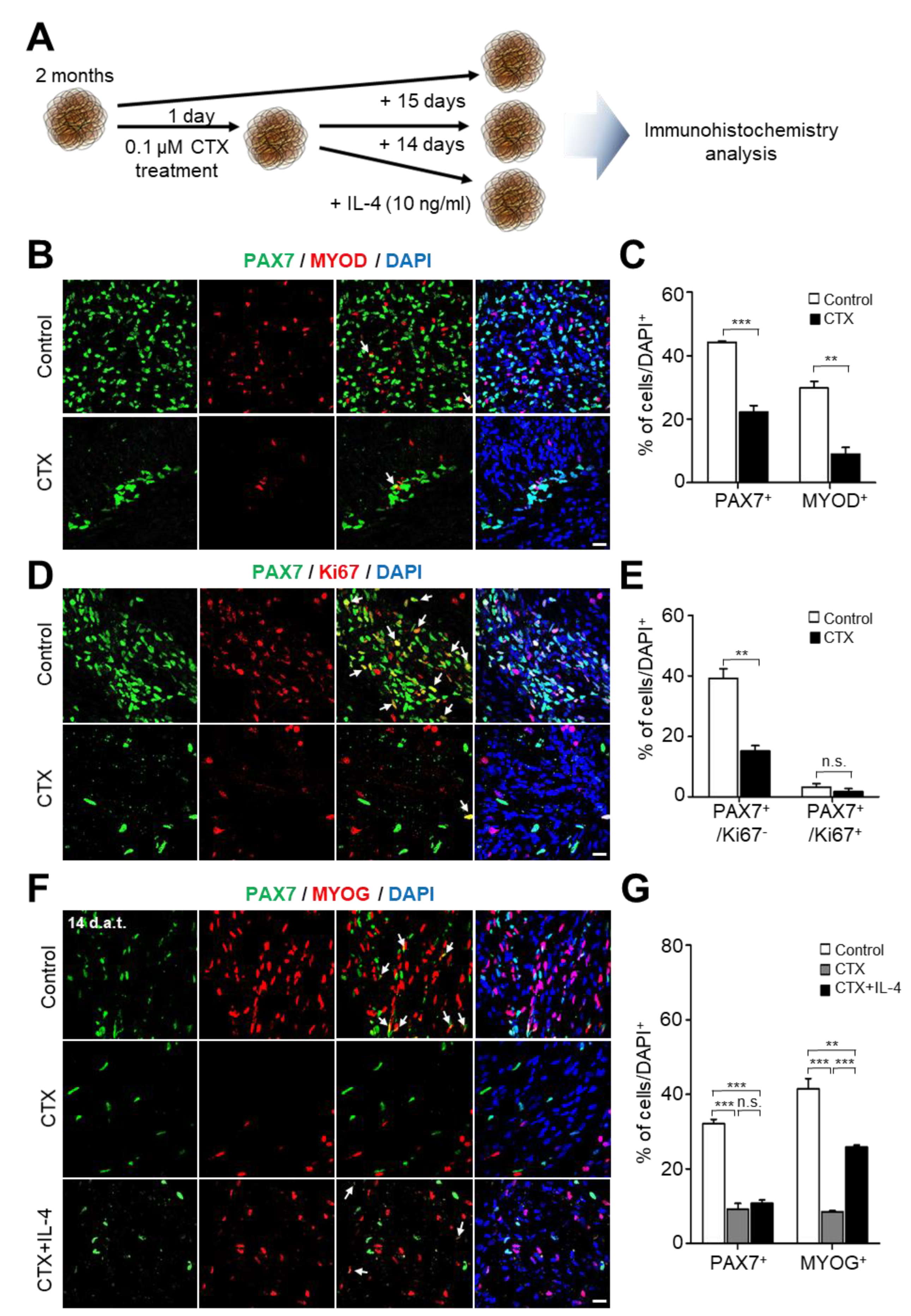 Ijms 23 05108 g004 550