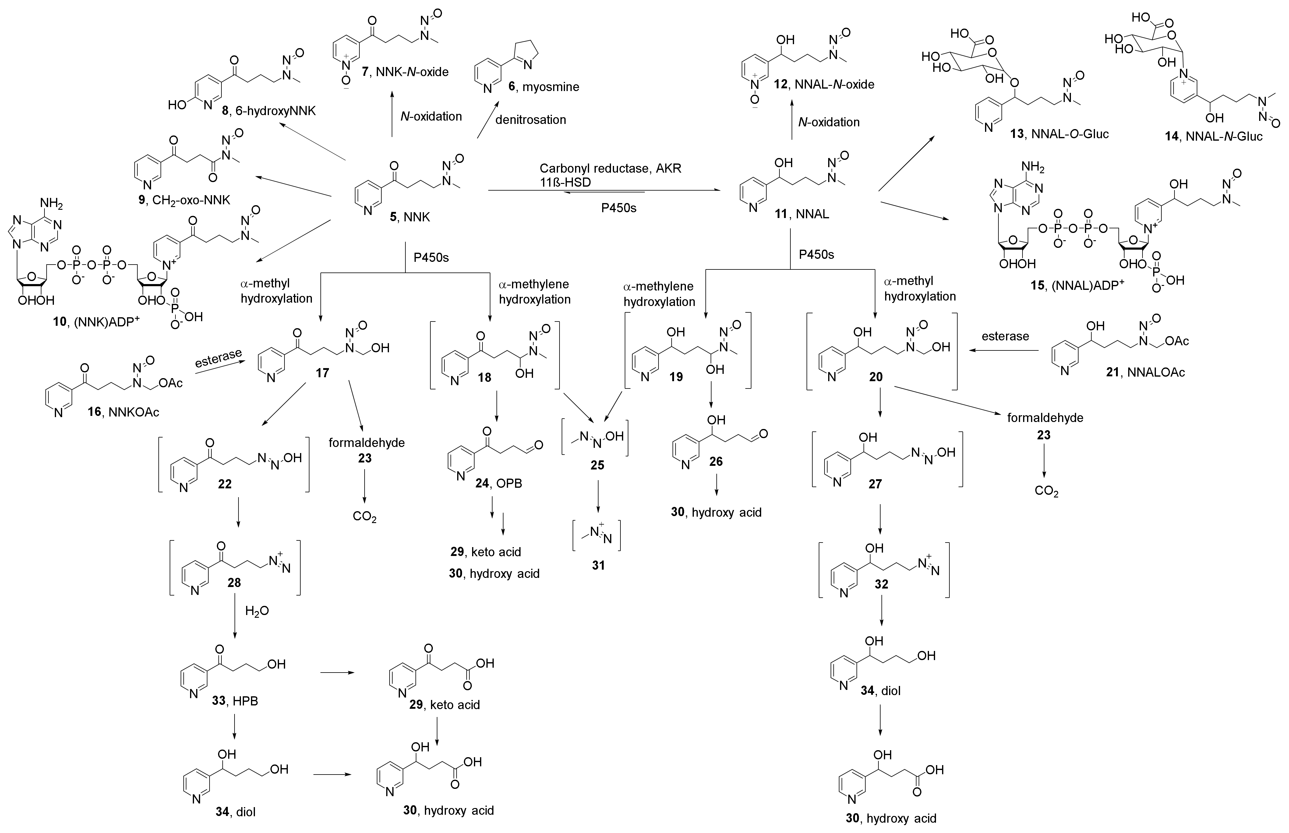 Ijms 23 05109 sch002