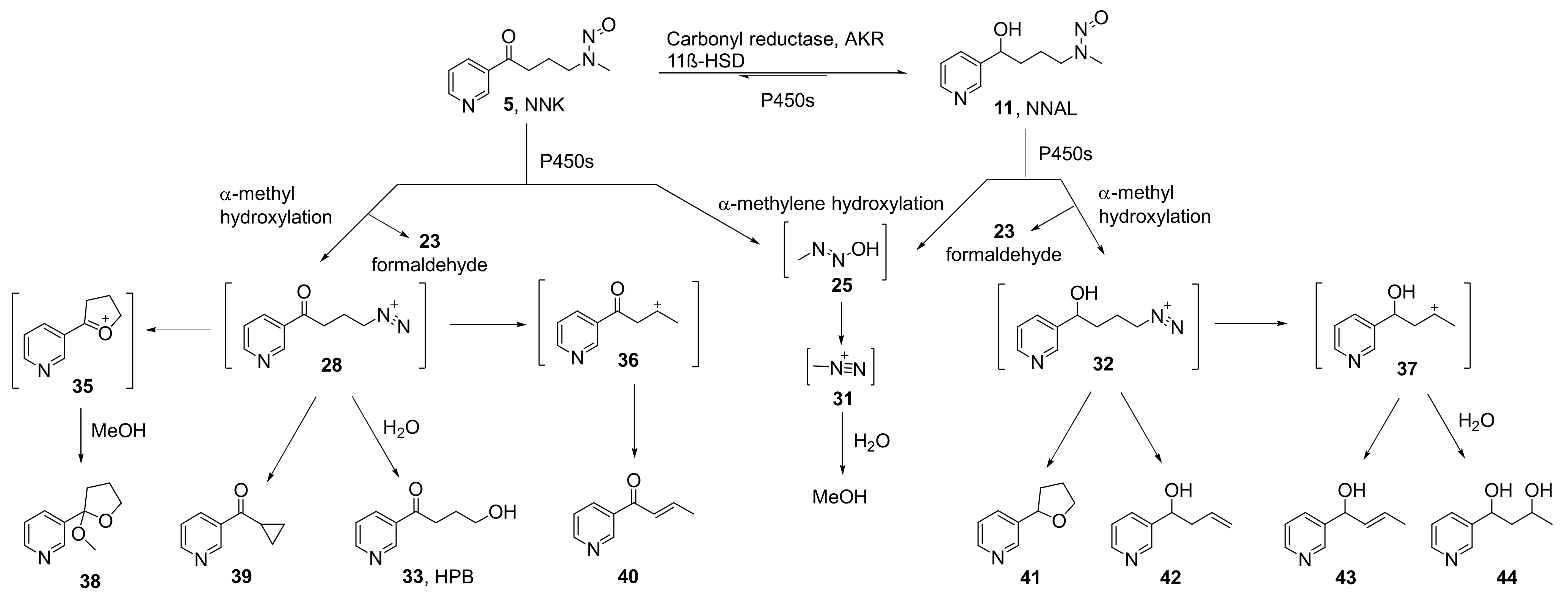 Ijms 23 05109 sch004
