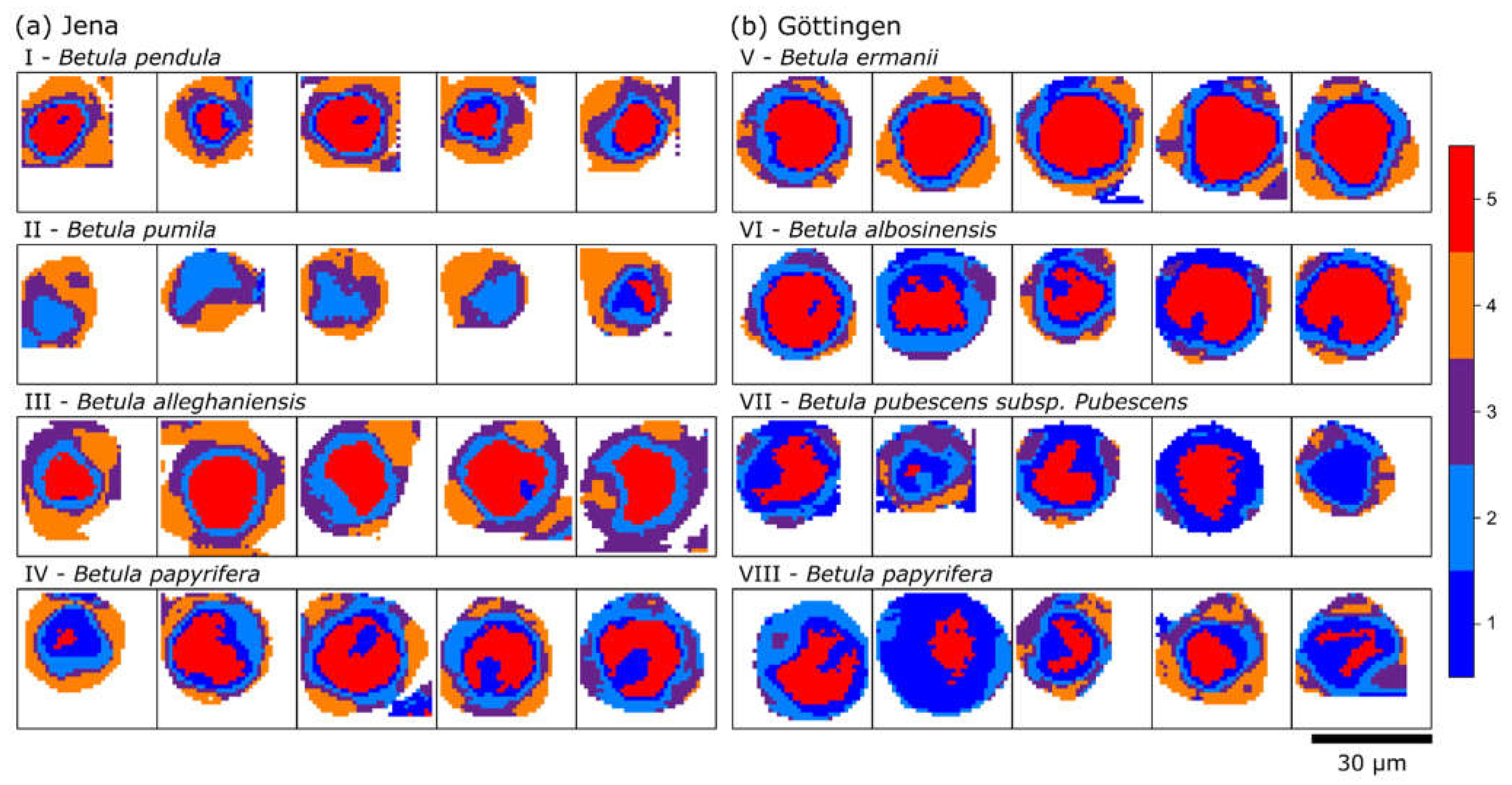 Ijms 23 05112 g003 550