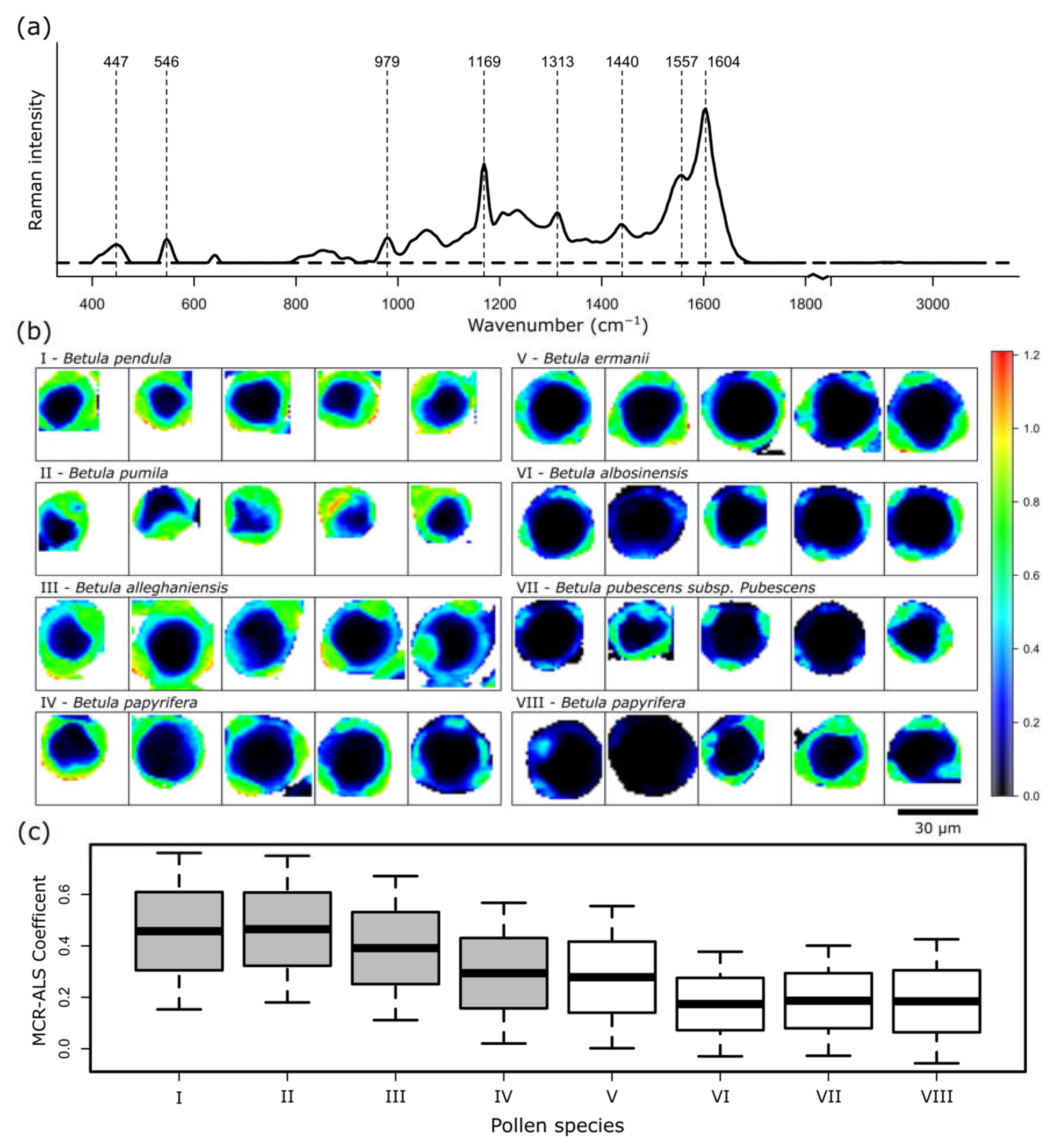 Ijms 23 05112 g004 550