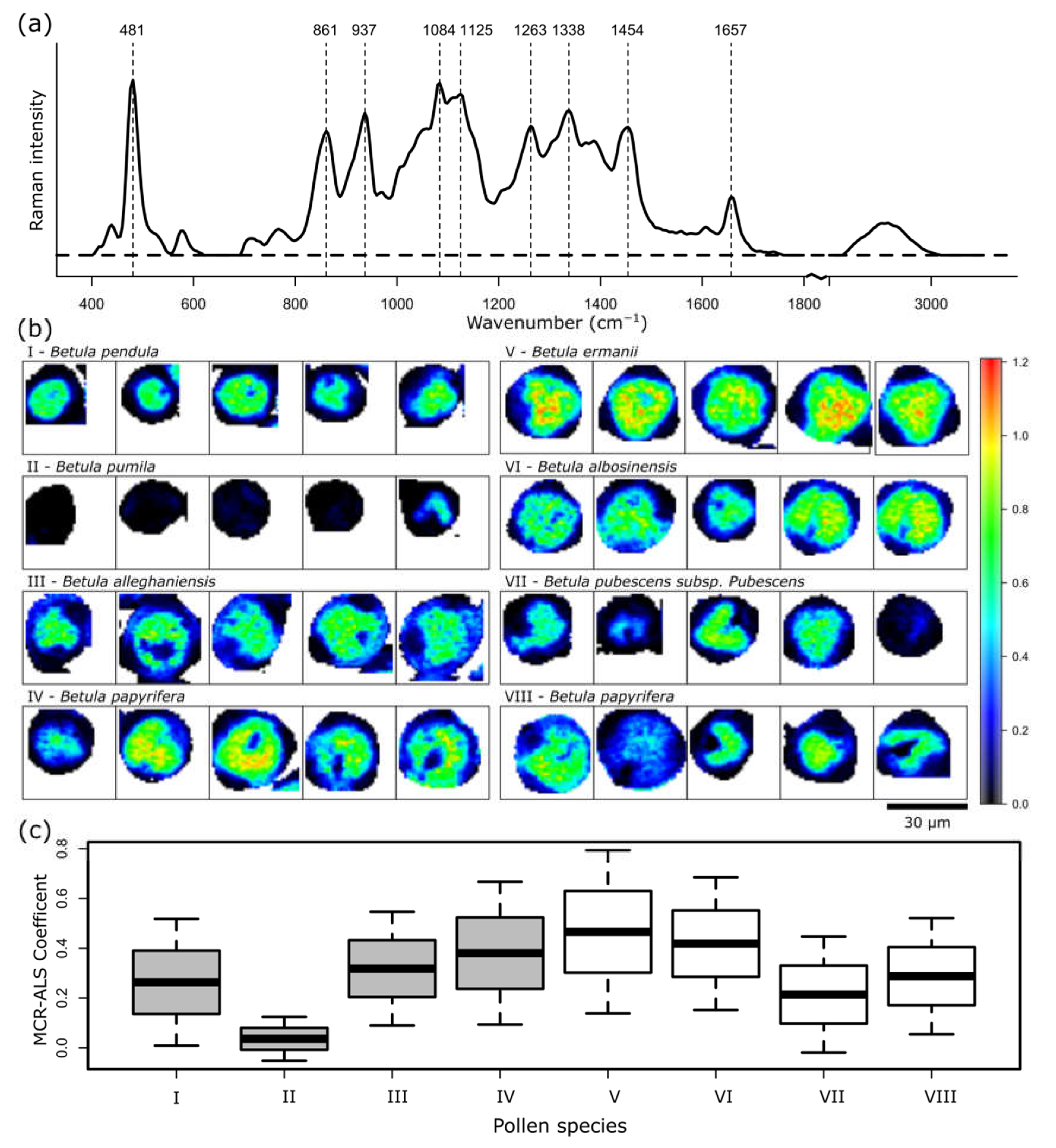 Ijms 23 05112 g005 550