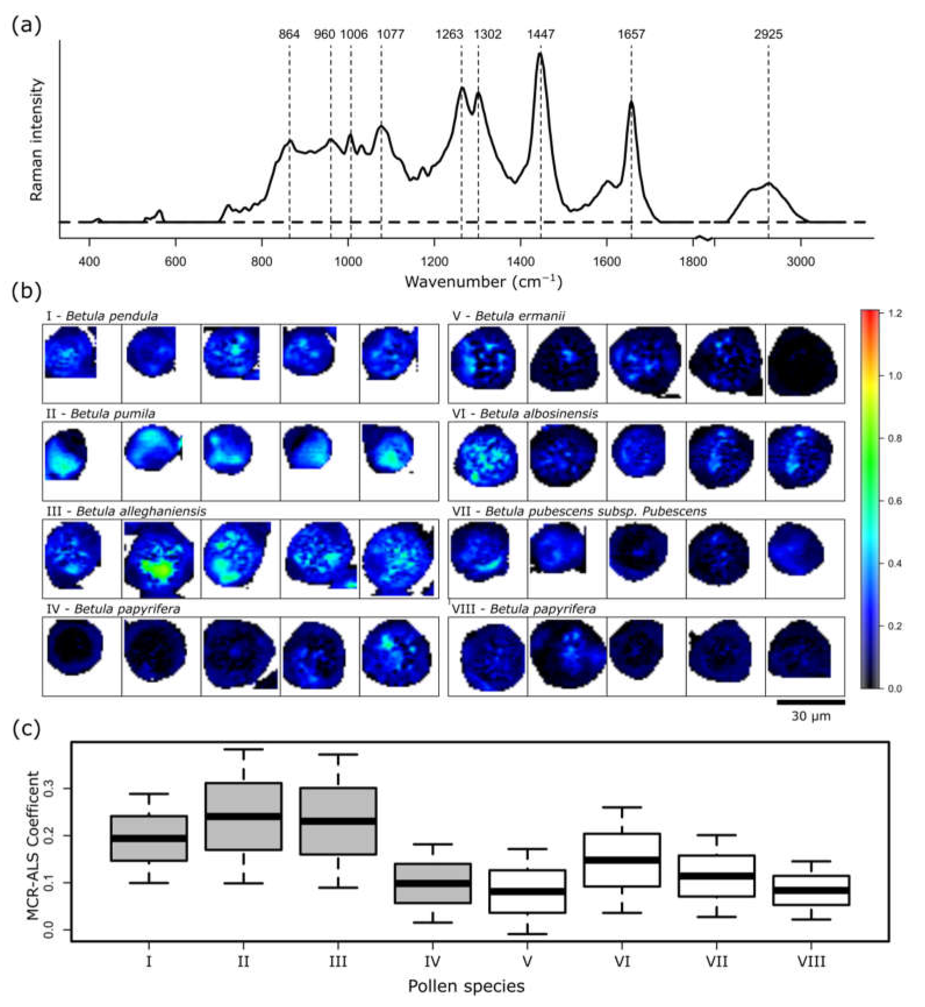 Ijms 23 05112 g006 550