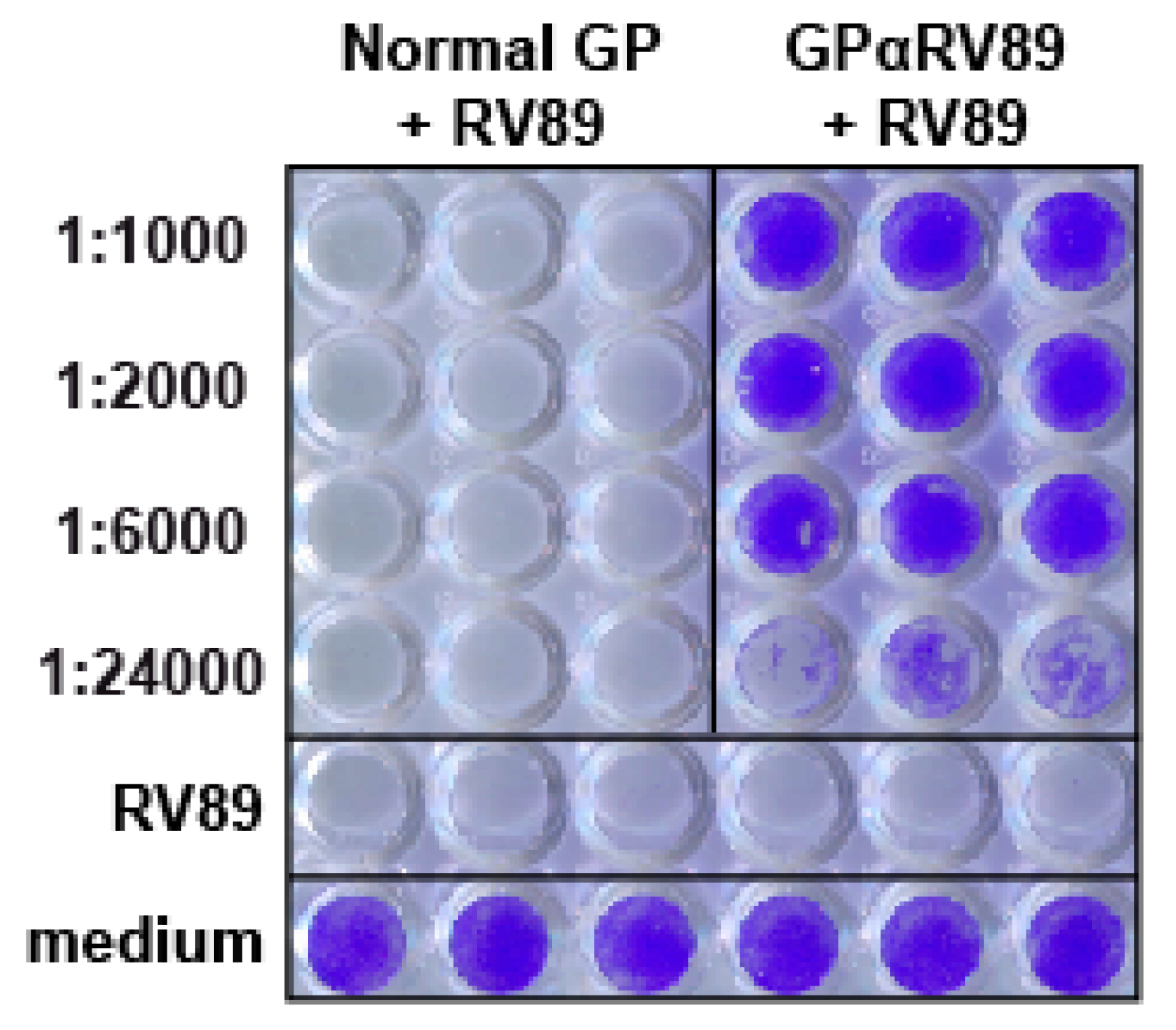 Ijms 23 05113 g001 550