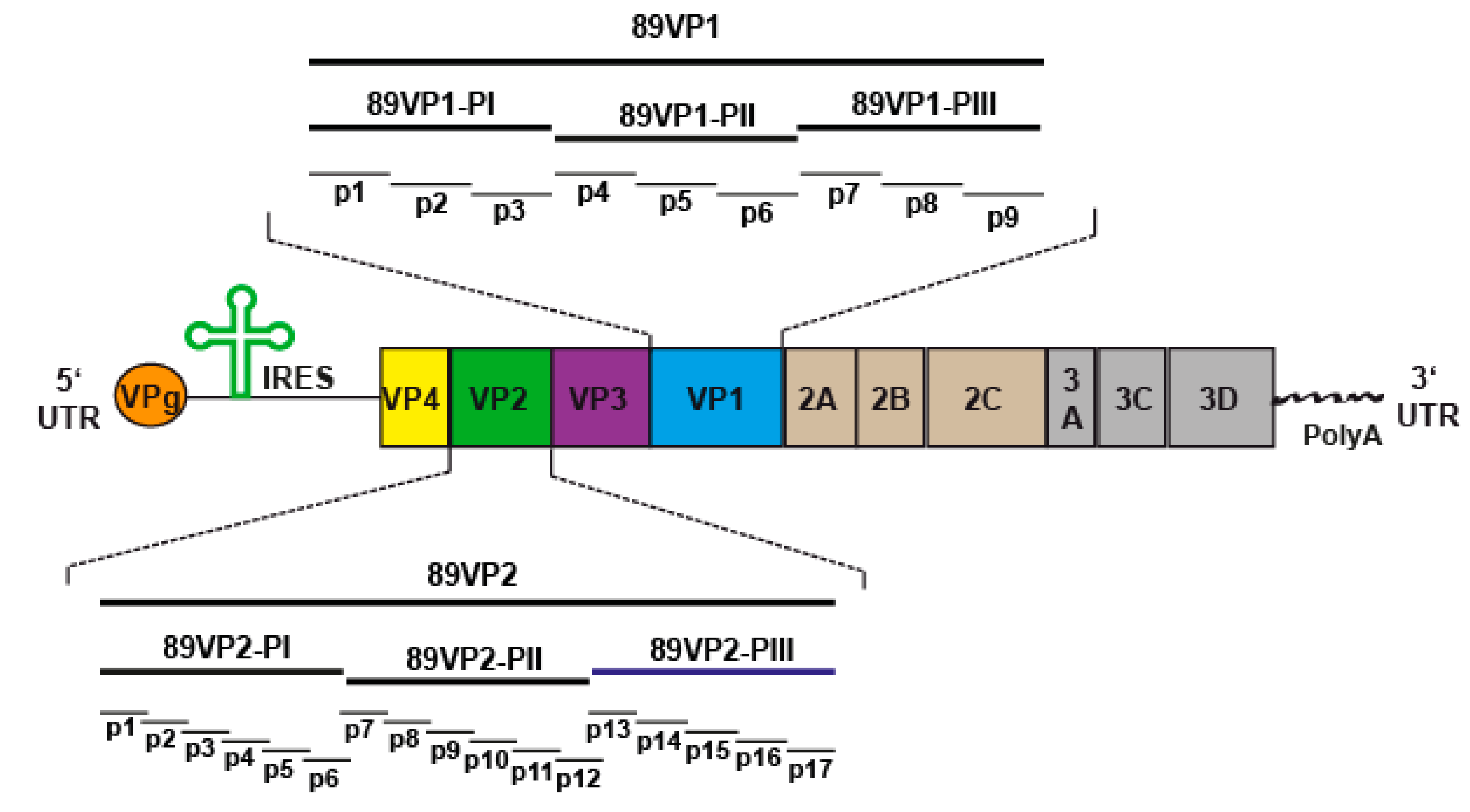Ijms 23 05113 g002 550