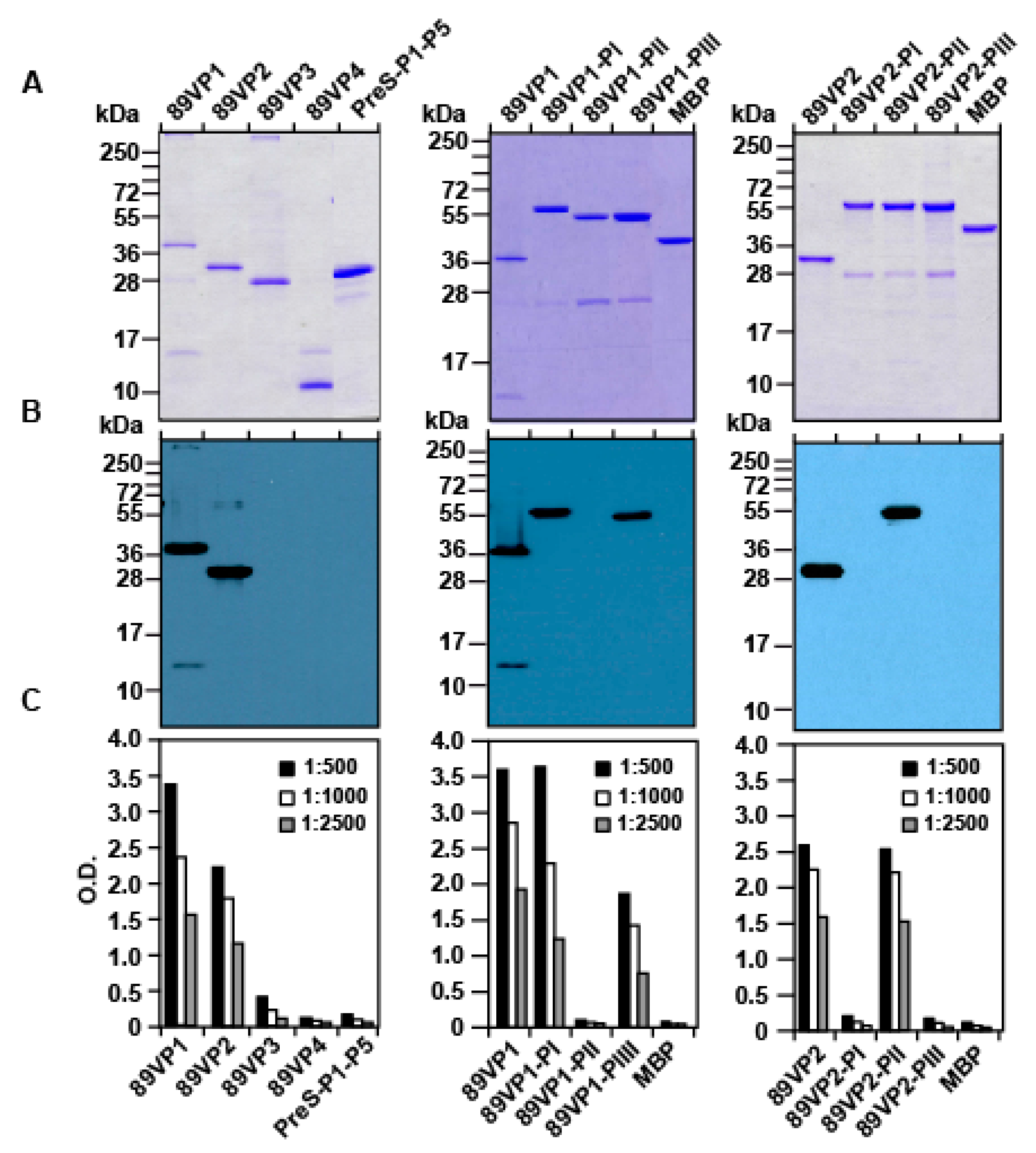Ijms 23 05113 g003 550