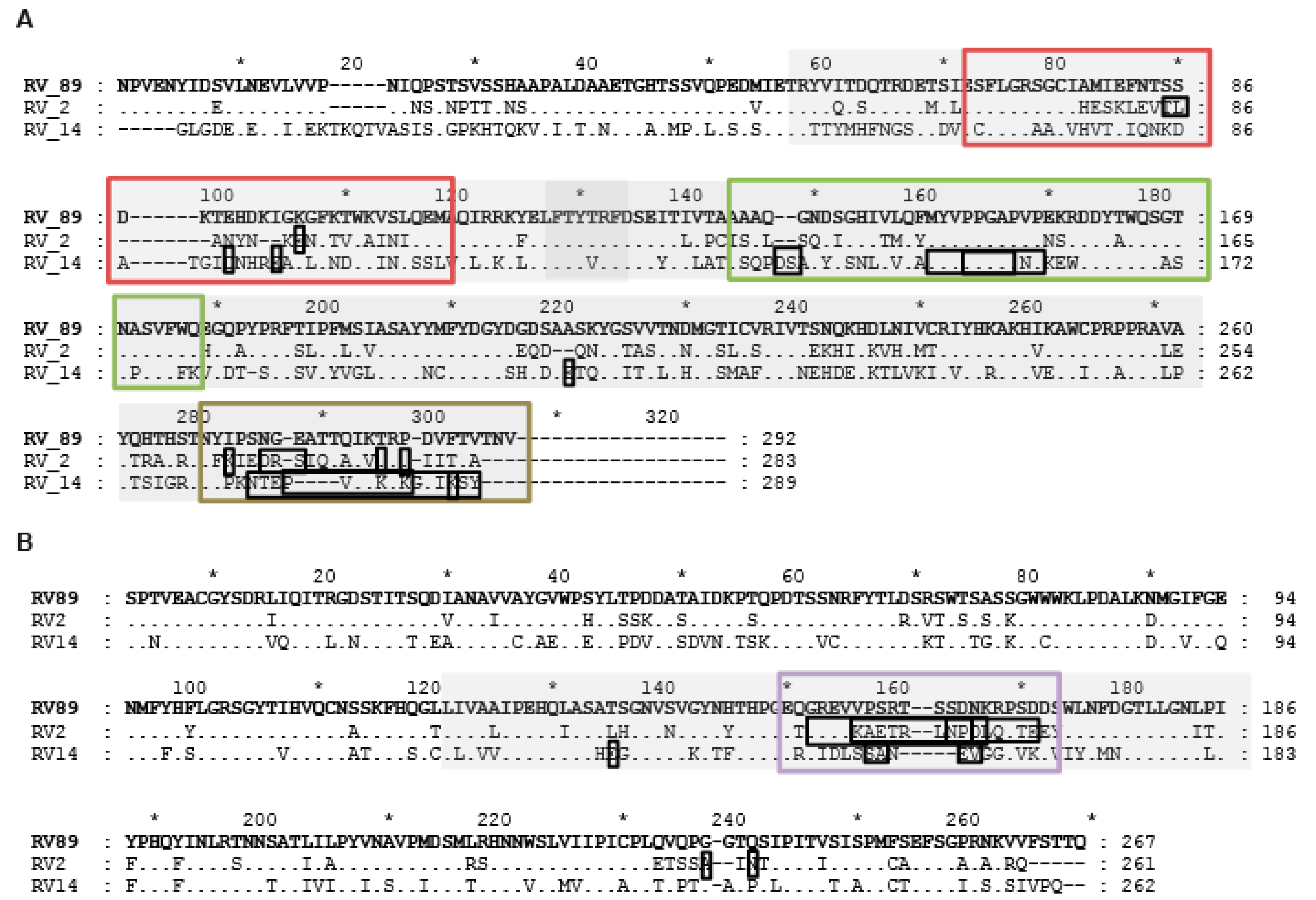 Ijms 23 05113 g007 550