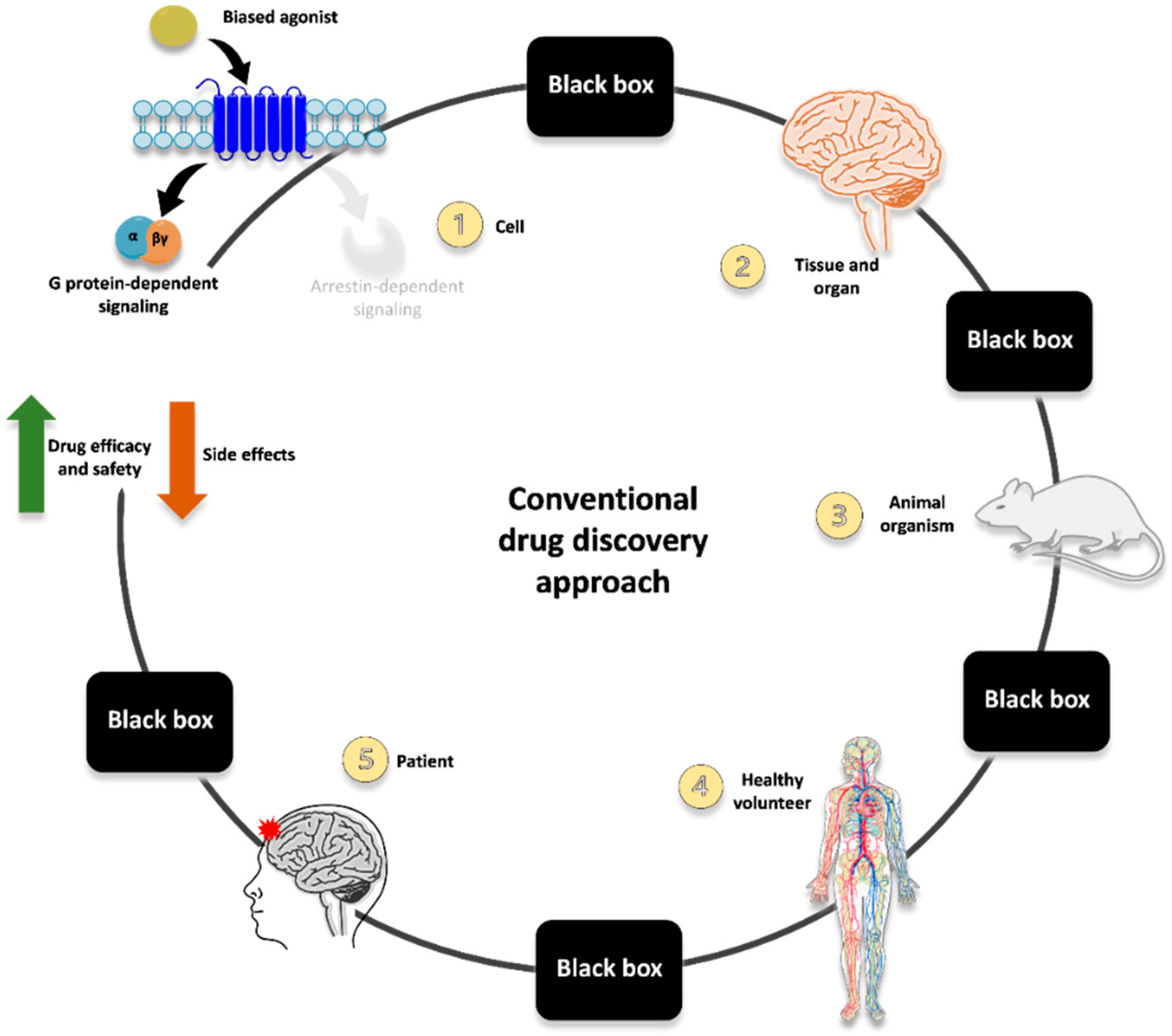 Ijms 23 05114 g001 550